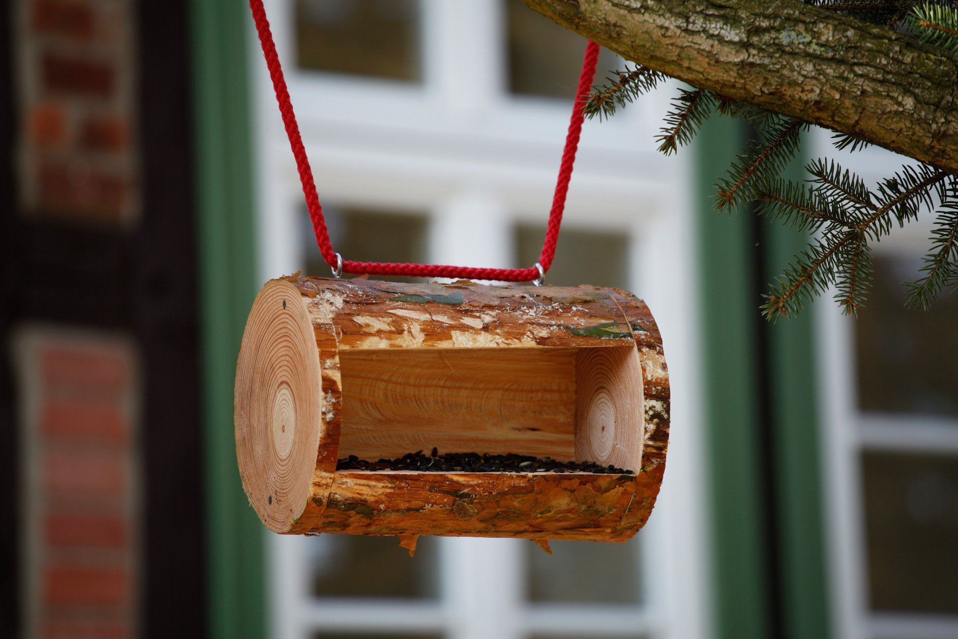 A finished DIY bird feeder hanging from a branch by a piece of red cord