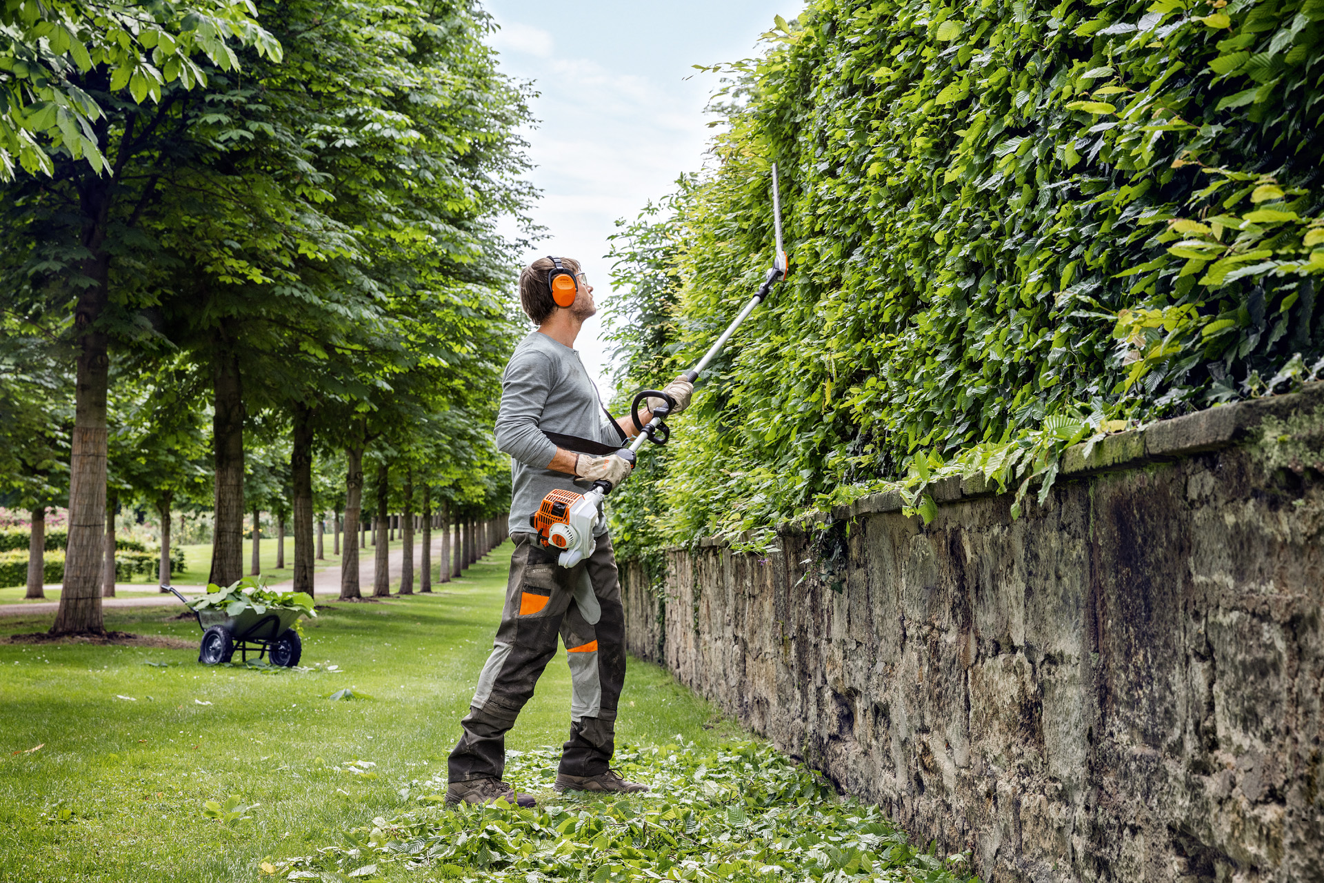 A man wearing protective clothing trims the vertical face of a tall hedge, using a STIHL HL 94 long-reach hedge trimmer.