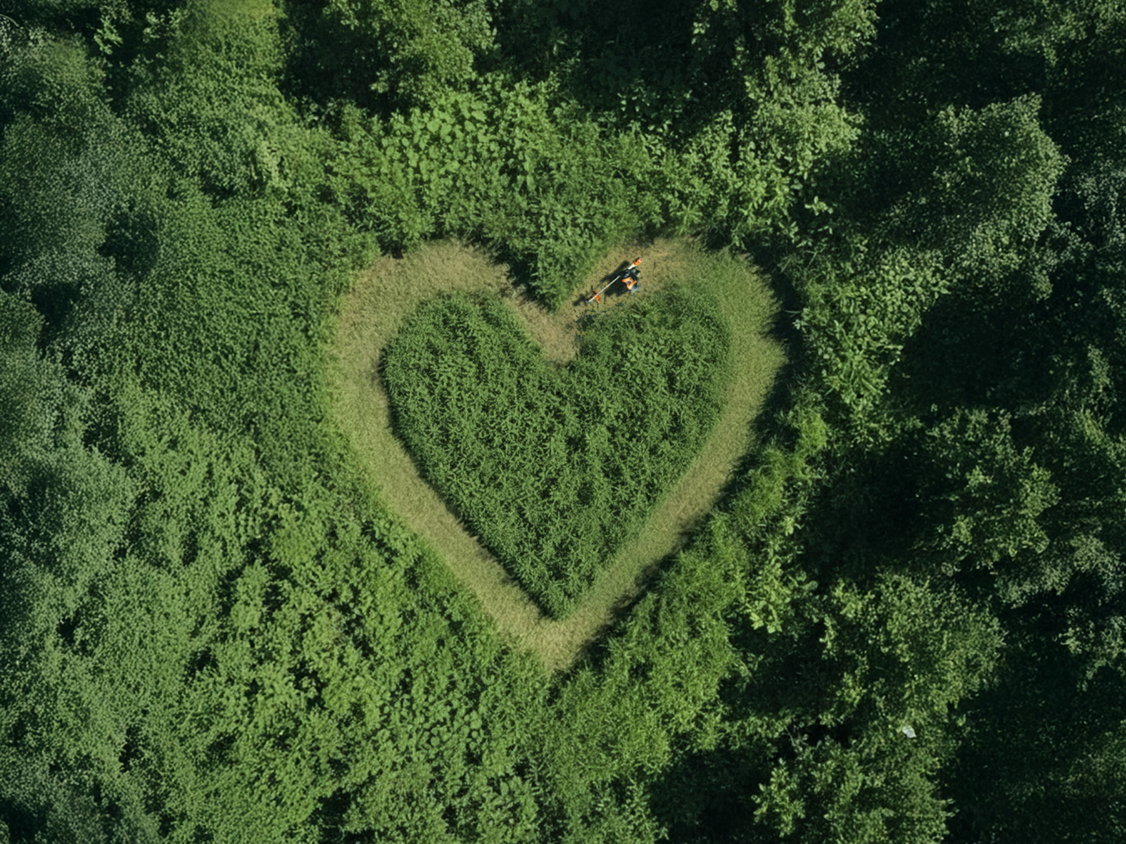 Heart mowed into long green grass