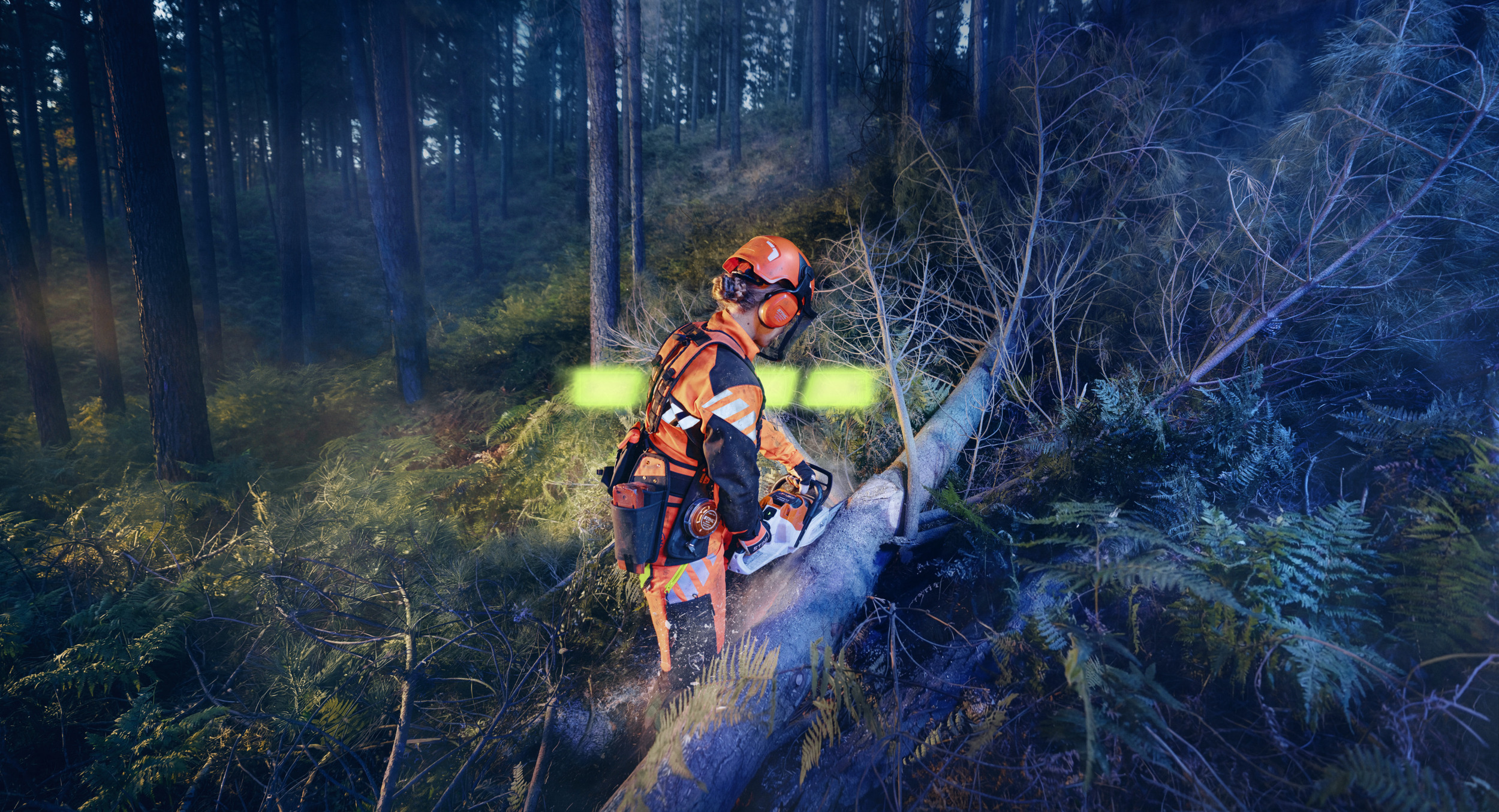 STIHL ALLPRO in use on the MSA 260 during forestry work