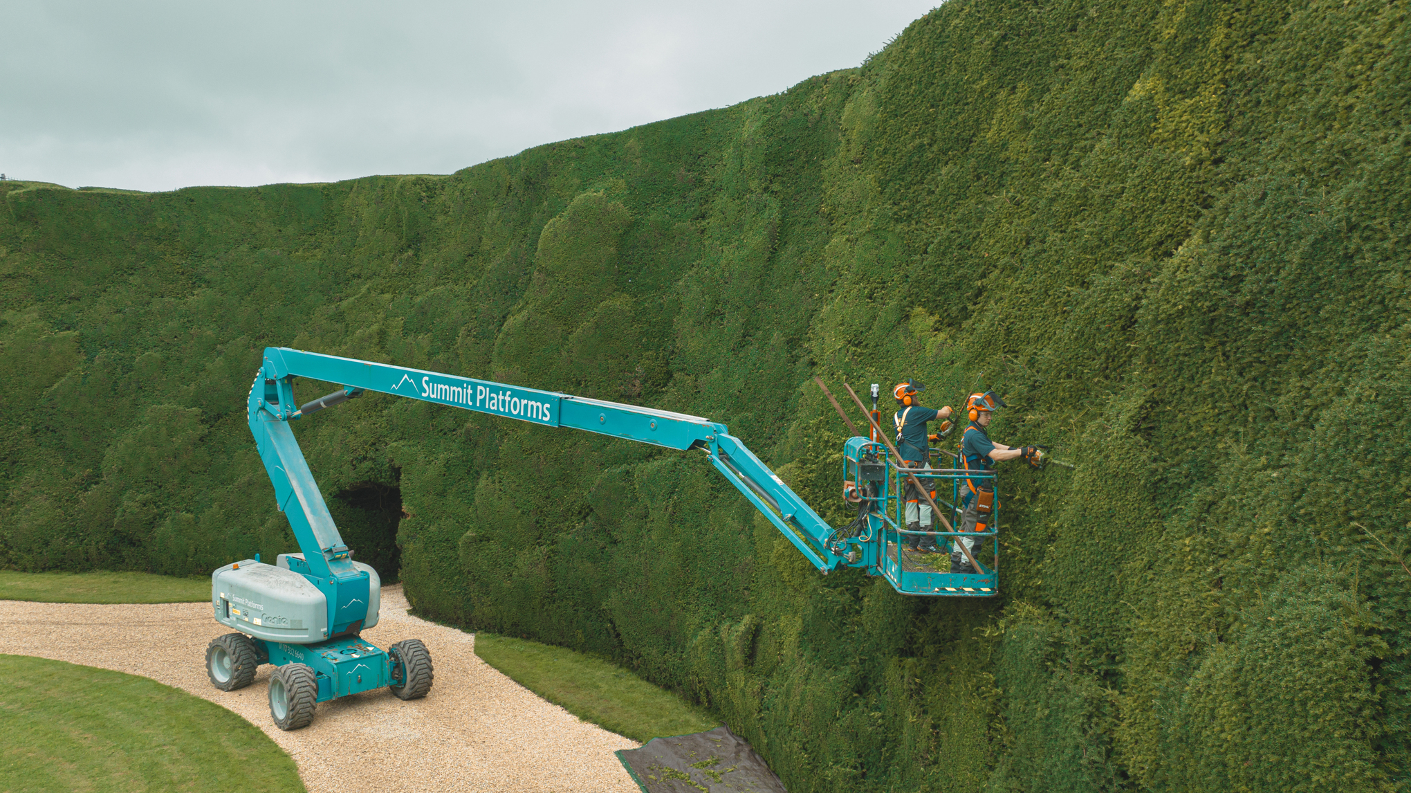 Two professionals trim the high hedge at Bathurst Estate on a lifting platform