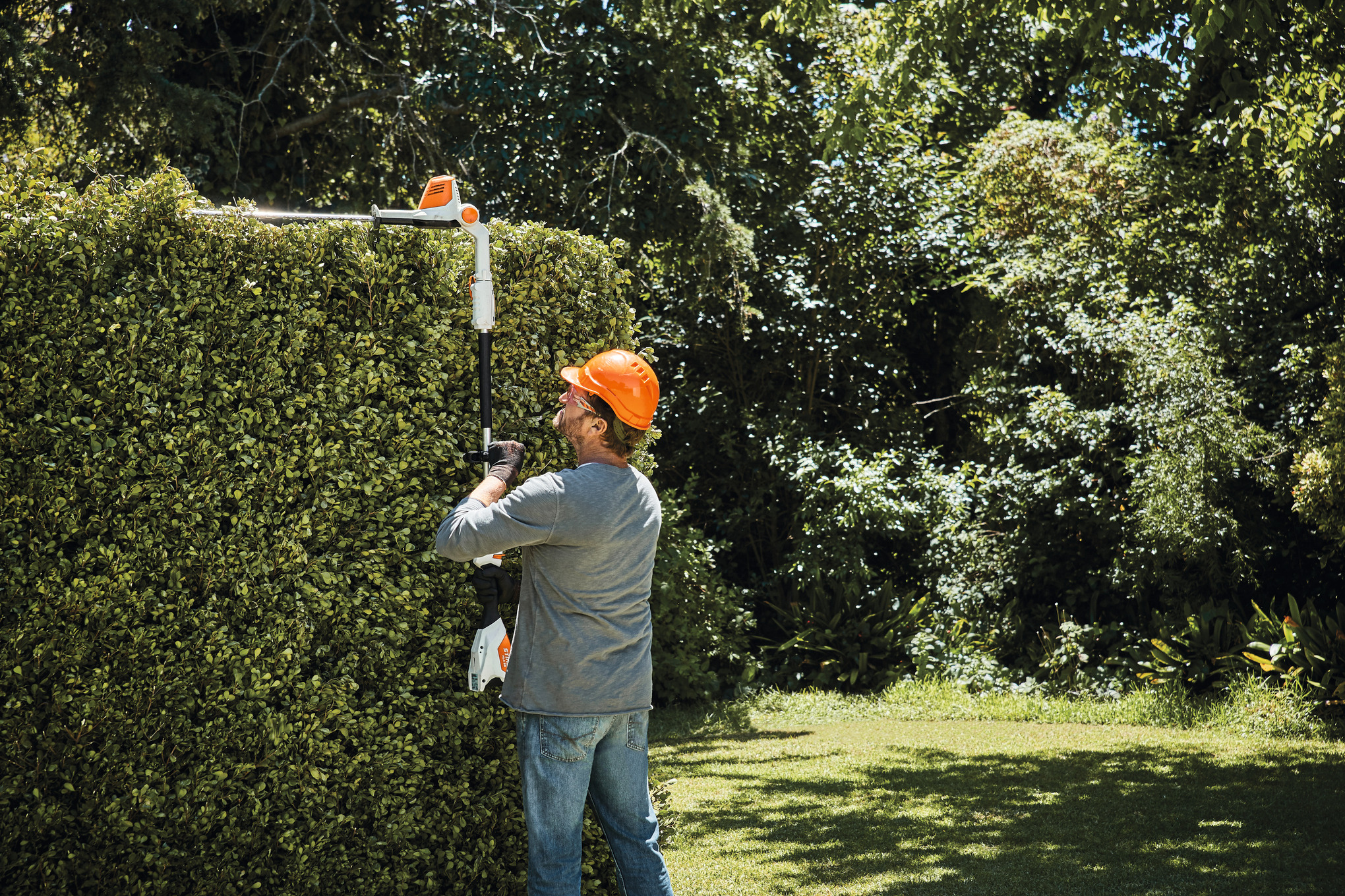 HLA 56 Cordless Long-reach Hedge Trimmer