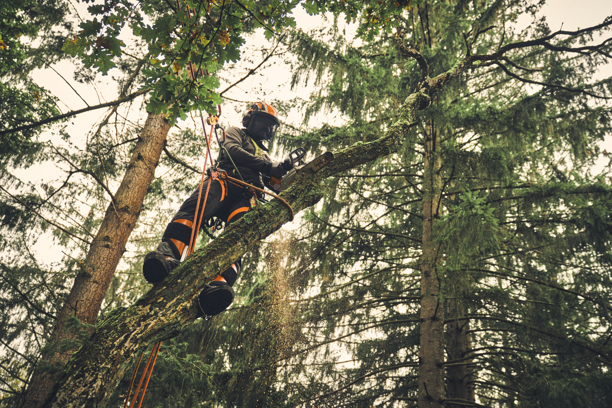 MSA 220.1 TC-O Cordless Chainsaw tool only