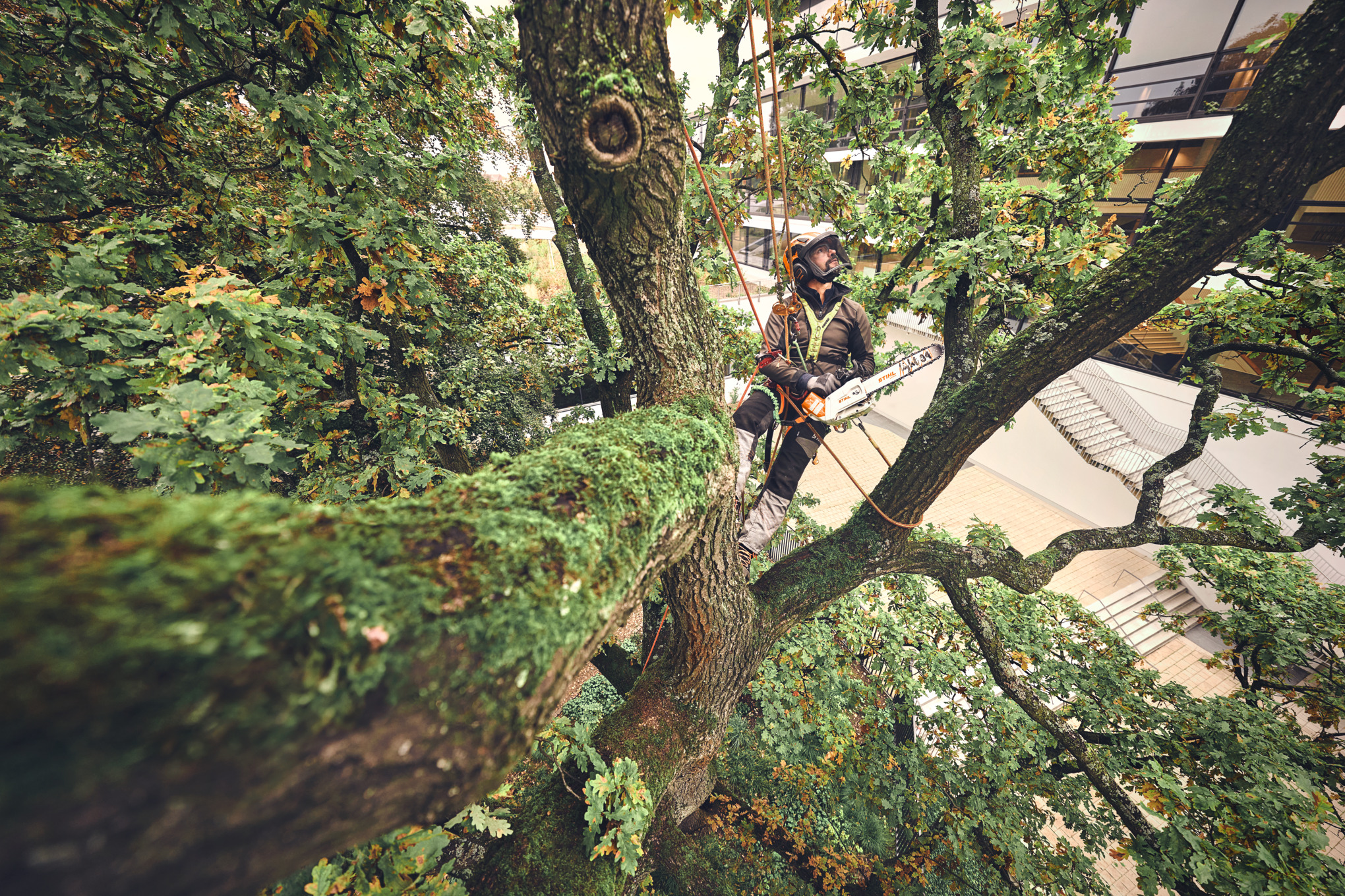 MSA 220.1 TC-O Cordless Chainsaw tool only