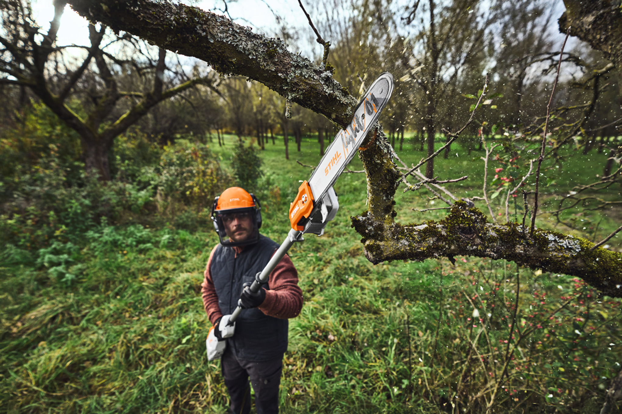 HTA 100 Cordless Pole Pruner tool only
