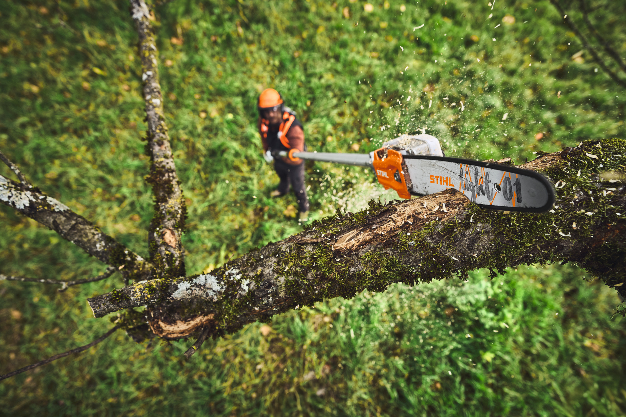 HTA 110 Cordless Pole Pruner tool only