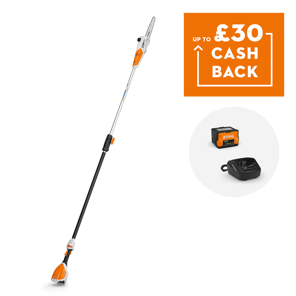 HTA 50 Cordless Pole Pruner with AK 20 battery and AL 101 charger
