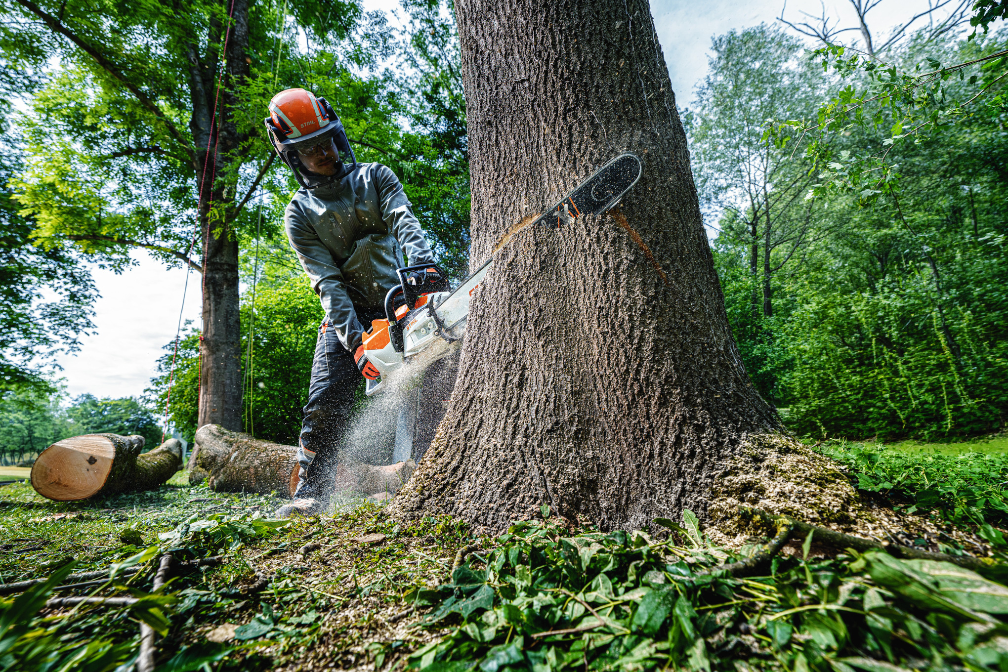 MSA 600 C-O Cordless Chainsaw tool only
