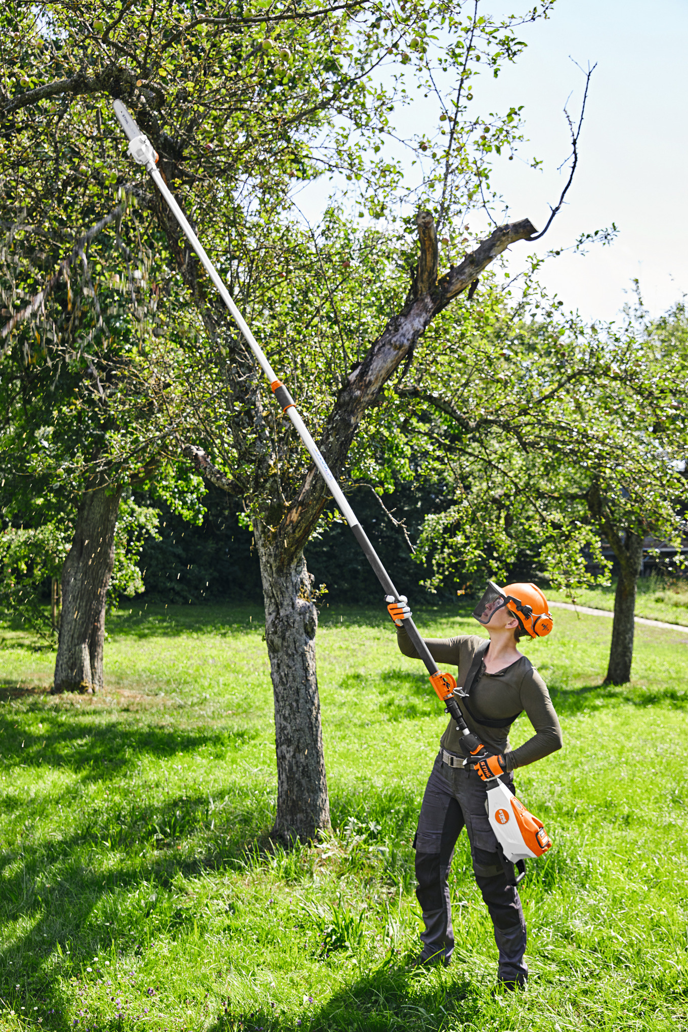 HTA 135 Cordless Telescopic Pole Pruner