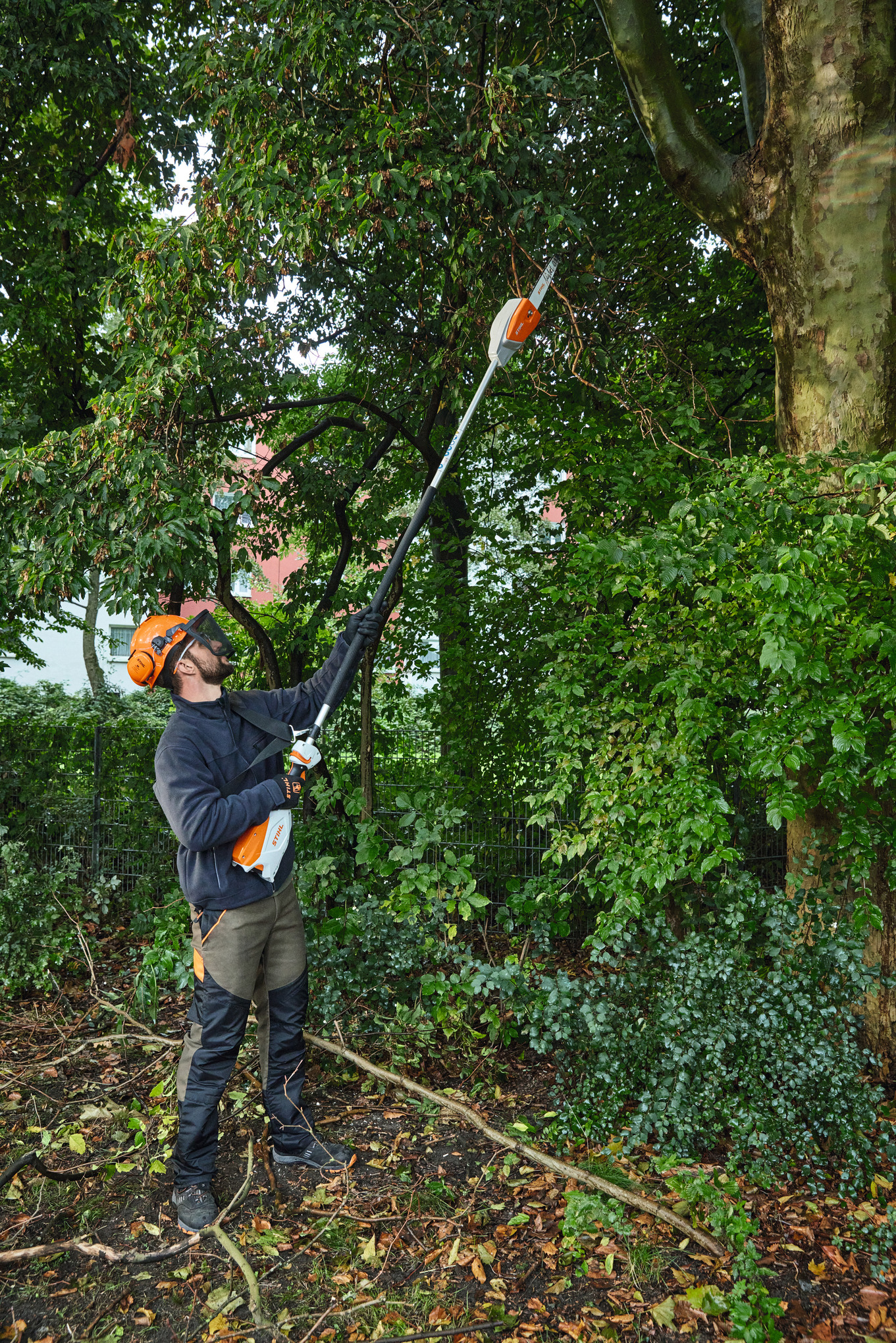 HTA 66 Cordless Pole Pruner