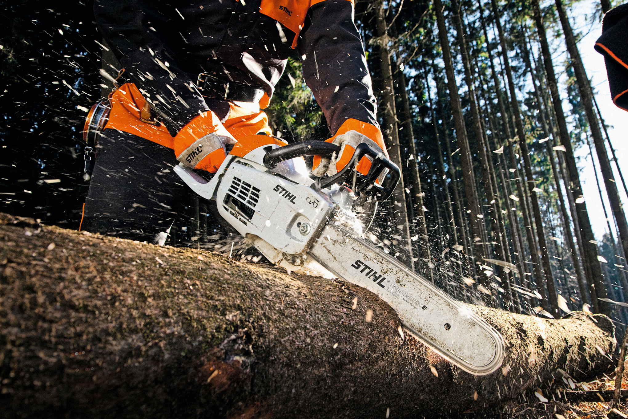 Stihl MS 201 T C-M Chainsaw - O'Connor's Lawn & Garden