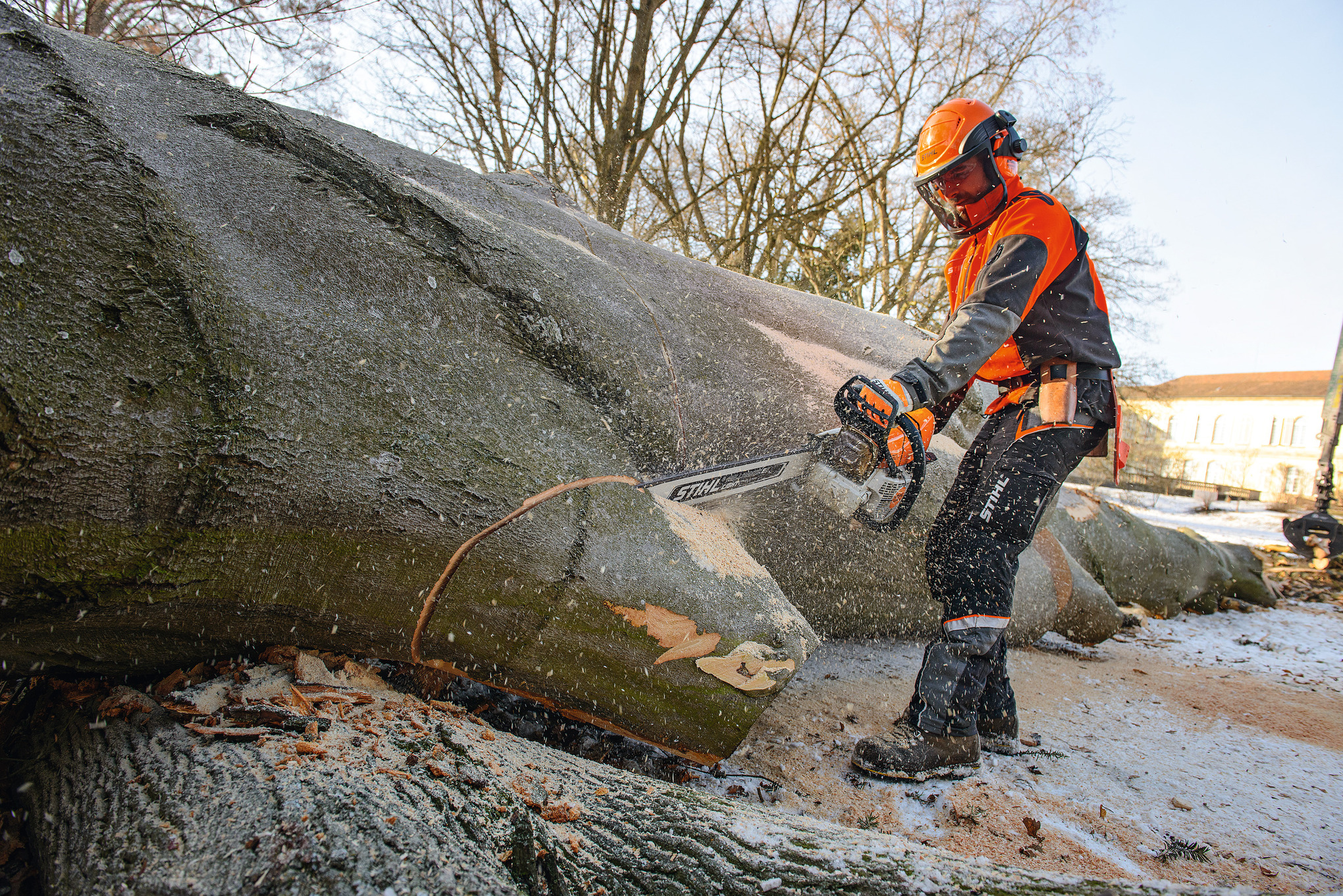 MS 661 C-M Chainsaw, Fuel-Efficient Professional Chainsaw