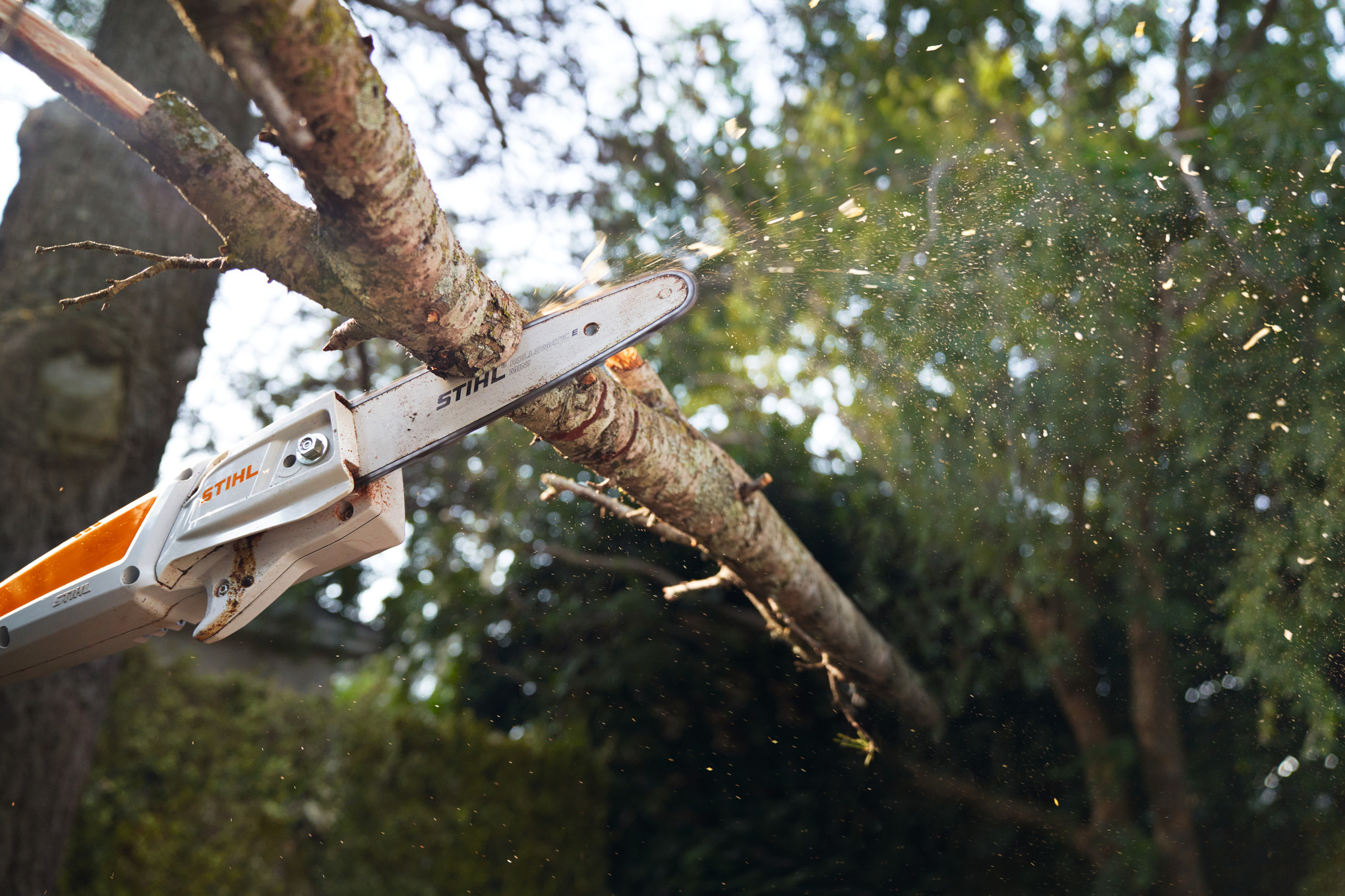 HTA 50 Cordless Pole Pruner | STIHL