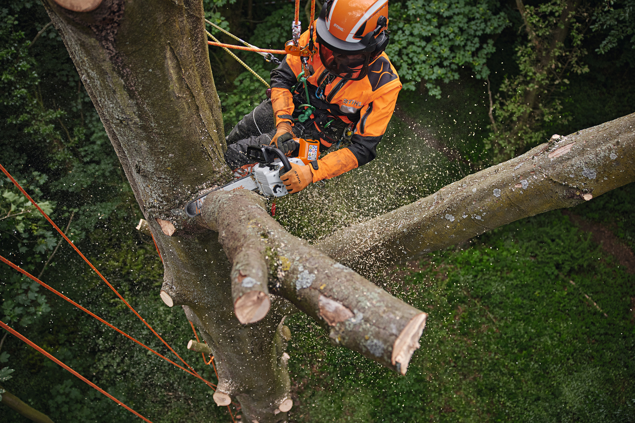 MSA 220 T Cordless Chainsaw