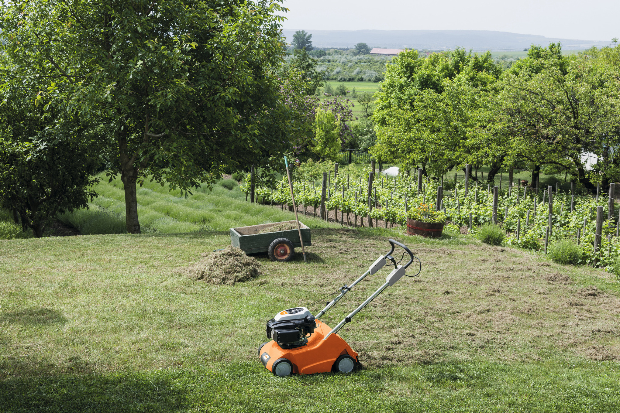 RL 540 Petrol Lawn Scarifier