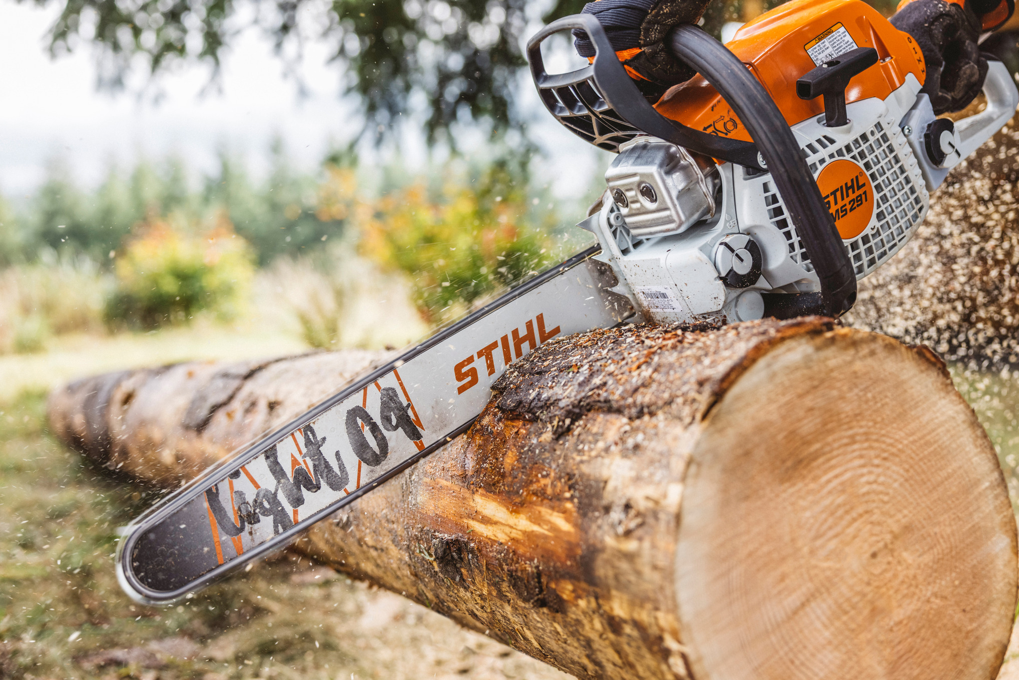 MS 291 Petrol Chainsaw