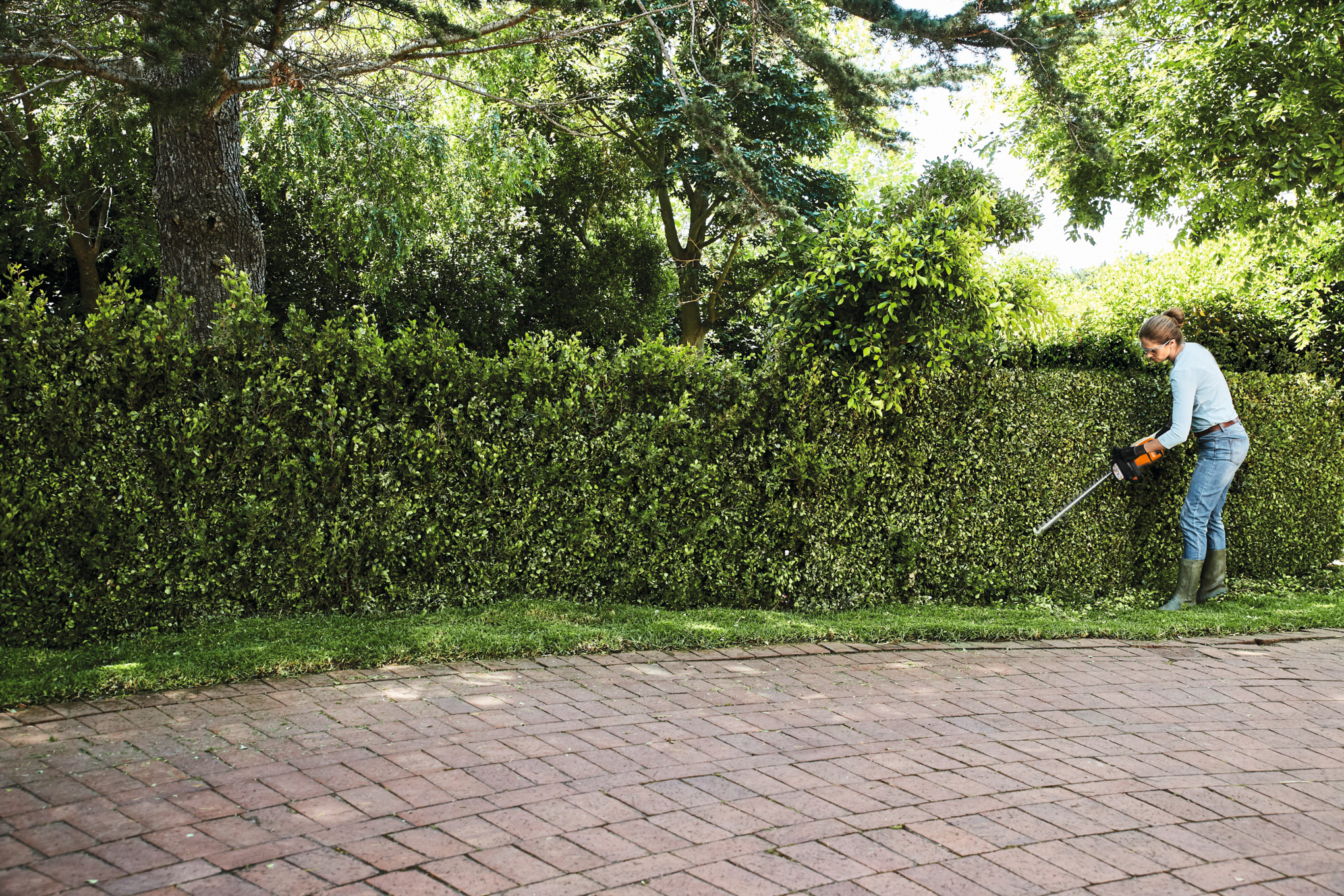 HSA 50 Cordless Hedge Trimmer