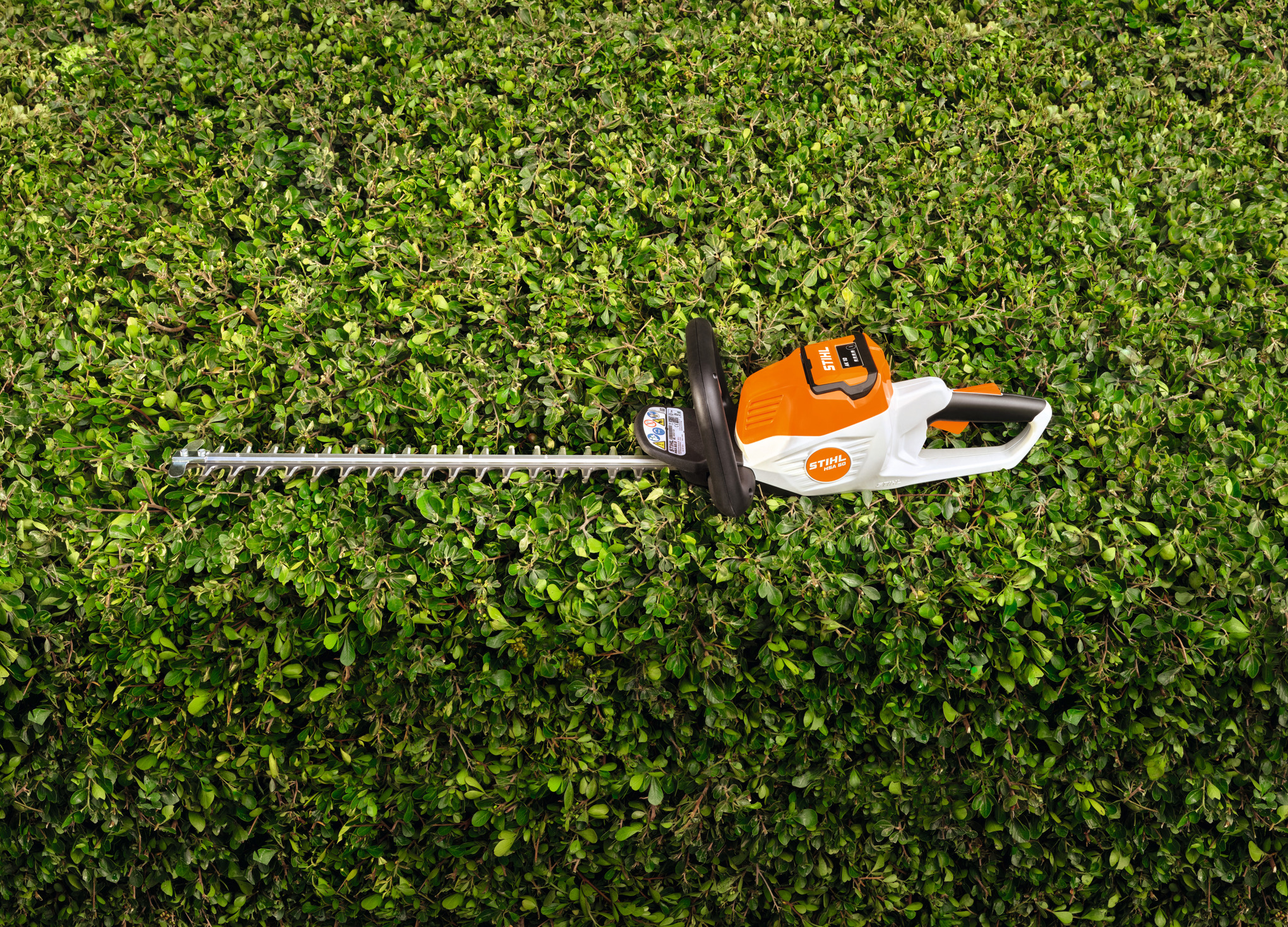 HSA 50 Cordless Hedge Trimmer