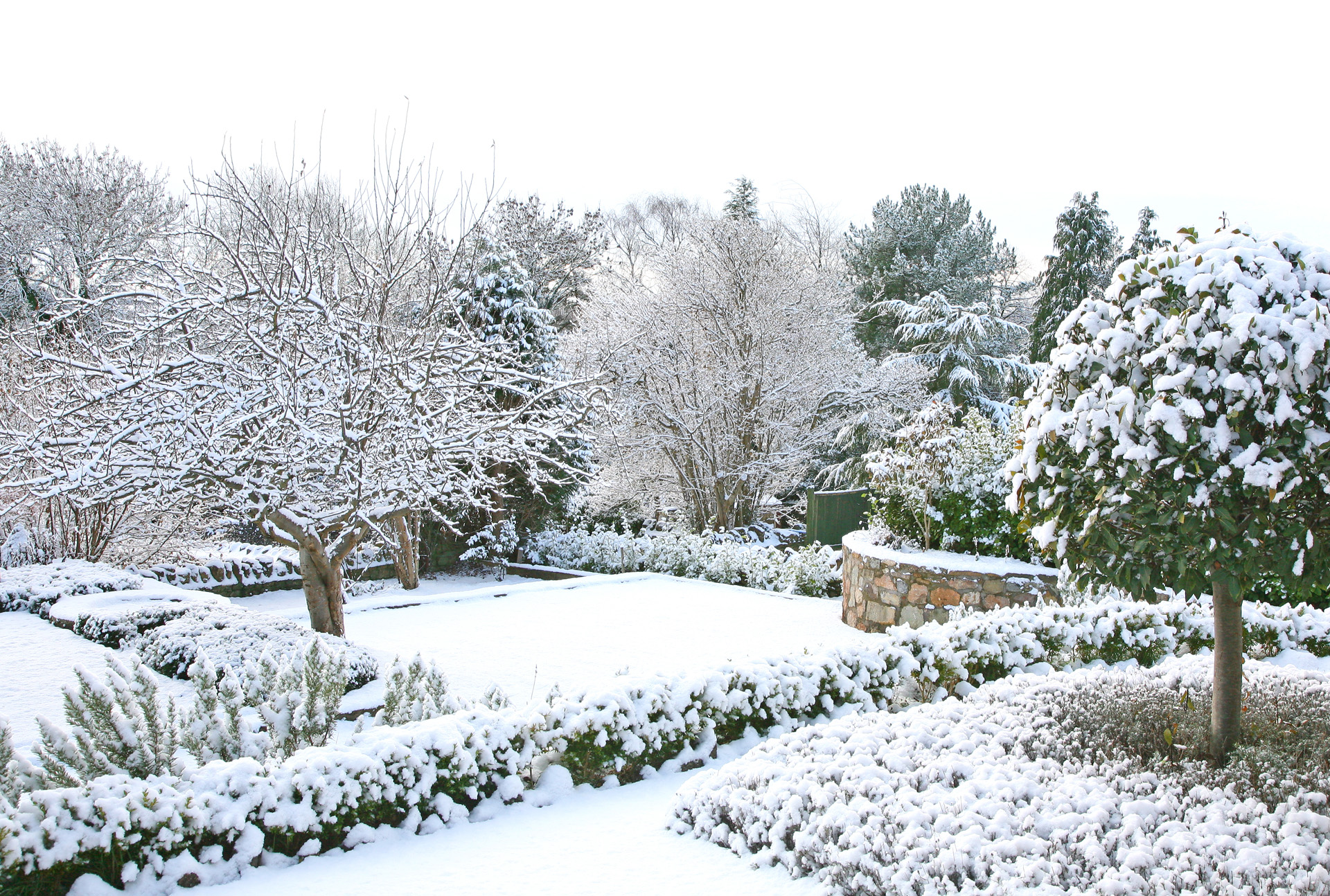 A snow-covered garden in winter