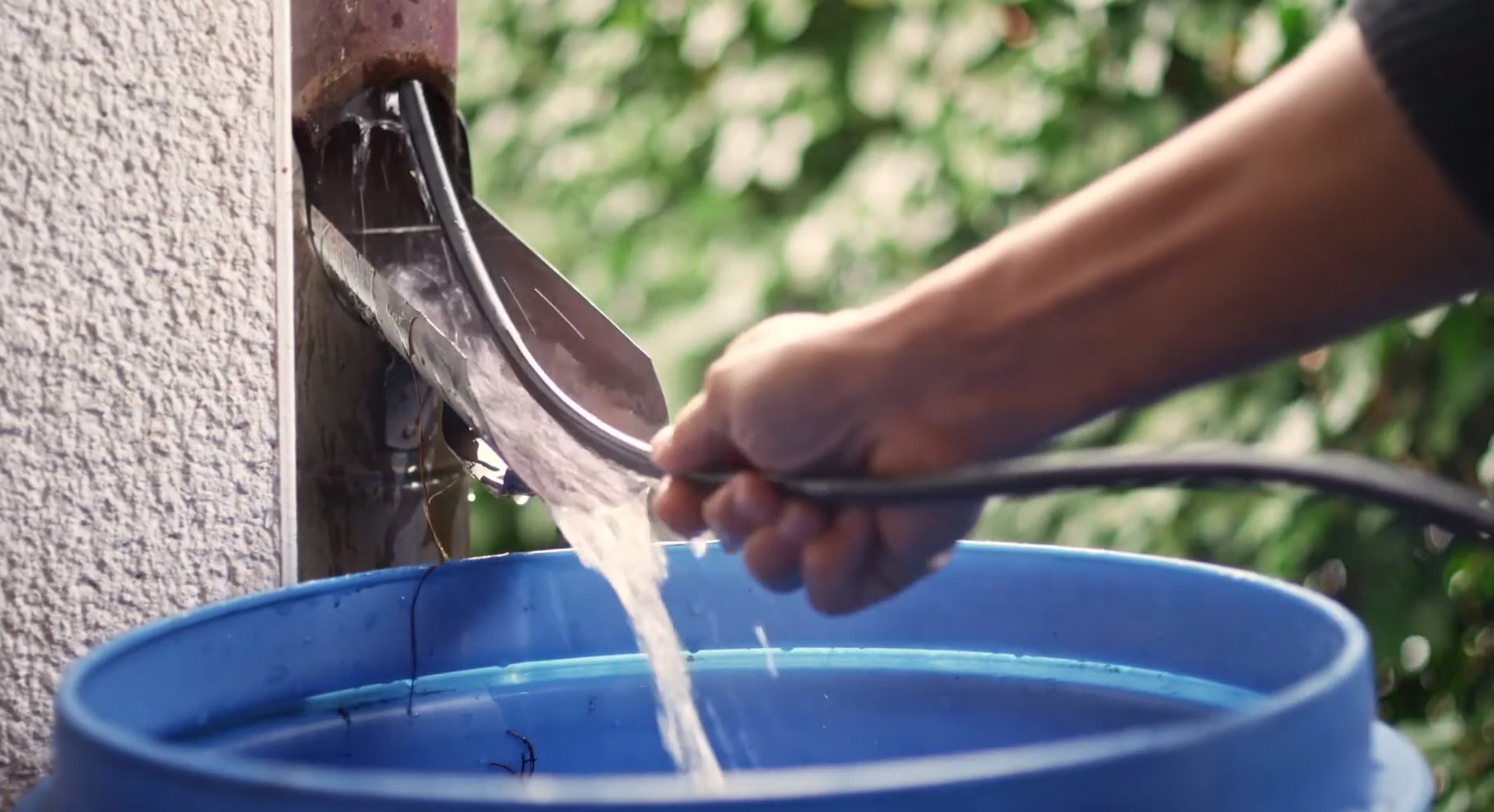 A flexible metal rod being pushed up a drainpipe with water flowing into a blue rain barrel