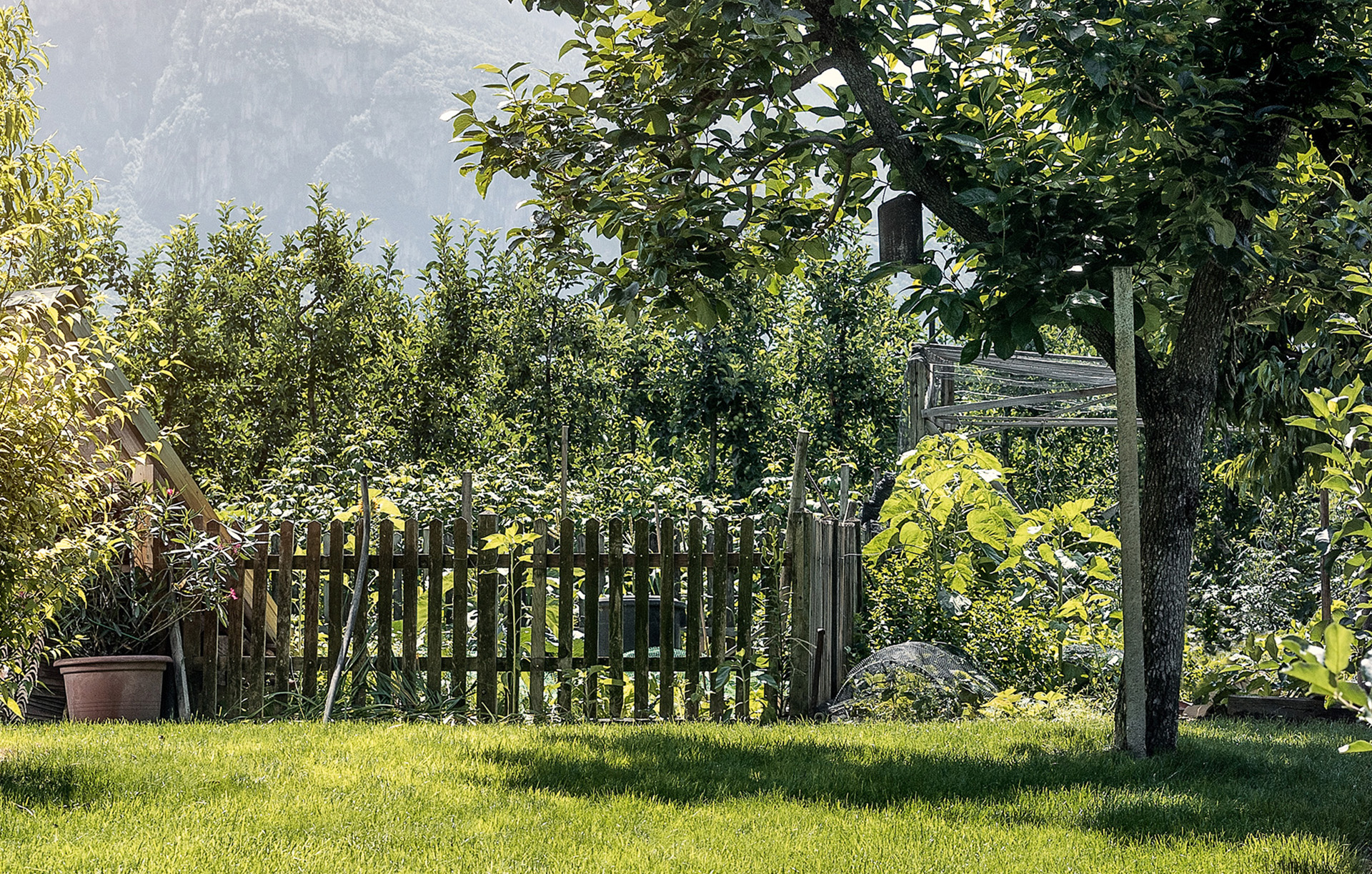 Small garden with lawn at the front, bushes on both sides, fence in the middle, trees and mountains in the background.