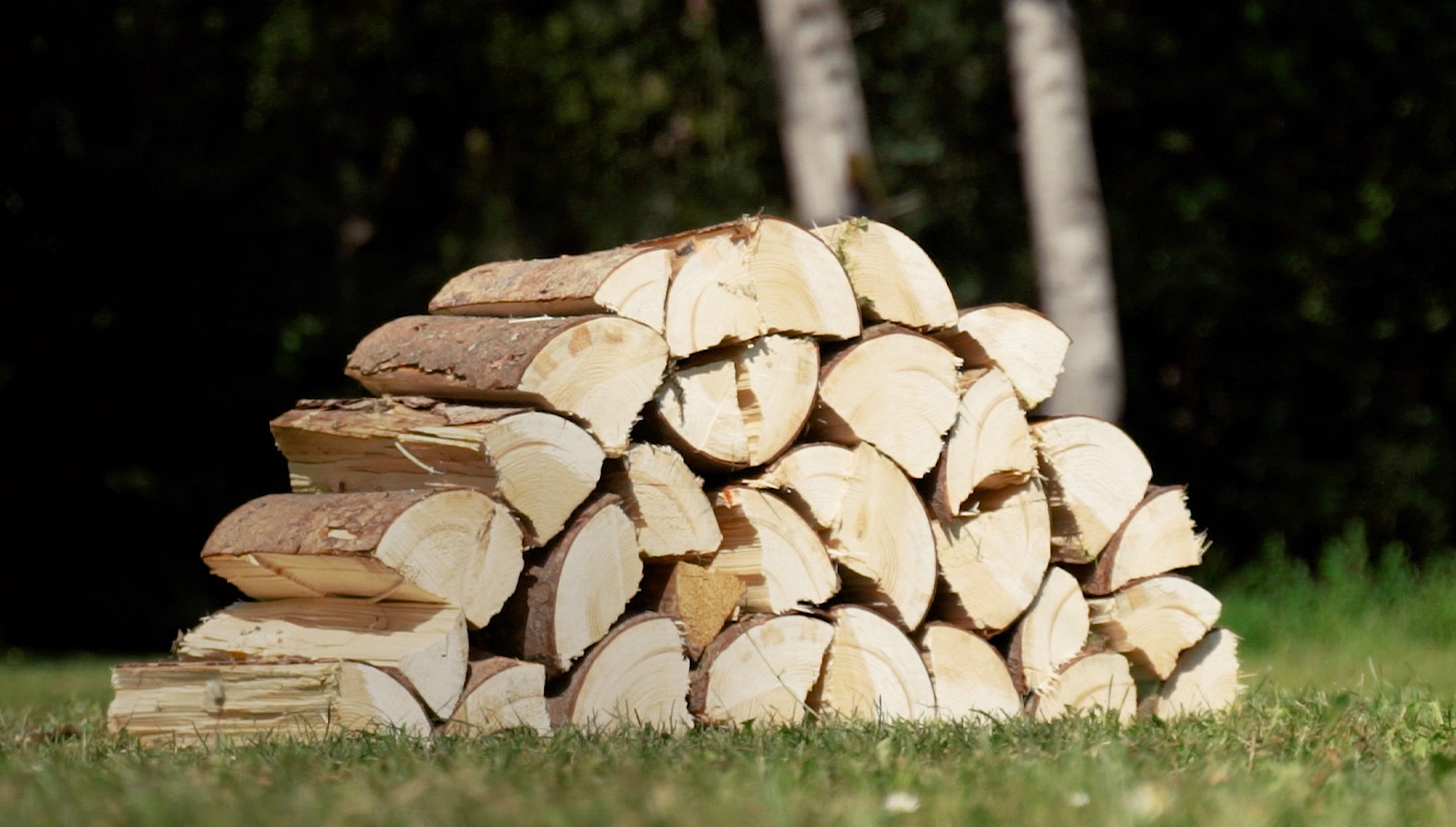 Log stack after cutting firewood