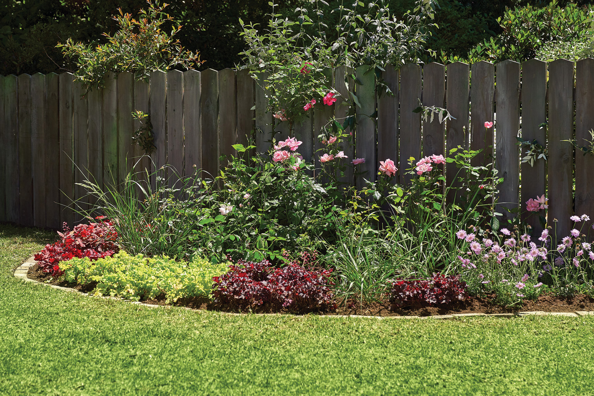 Enclosed bed with short grasses and roses around the border of a small garden, adjacent to a medium–height wooden fence.