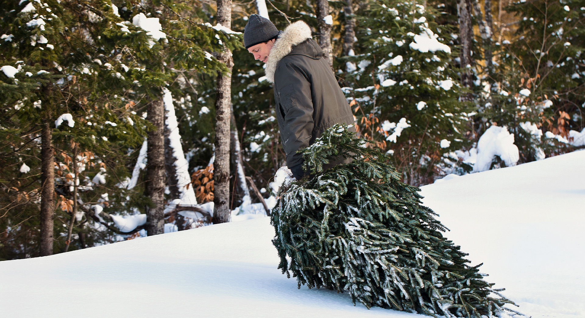 Man wearing a hat and winter coat pulls a Christmas tree along snow-covered ground, with a view of forest behind him