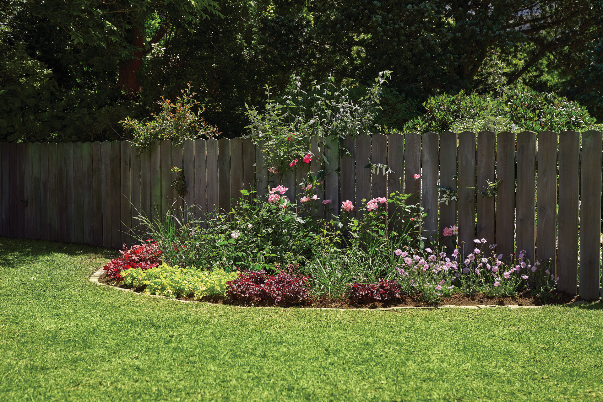 A colourful perennial flower bed in a garden beside a wooden fence