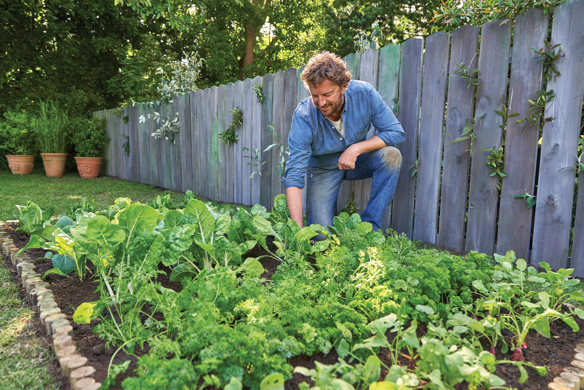 A man crouching in an abundant vegetable patch beside a wooden fence