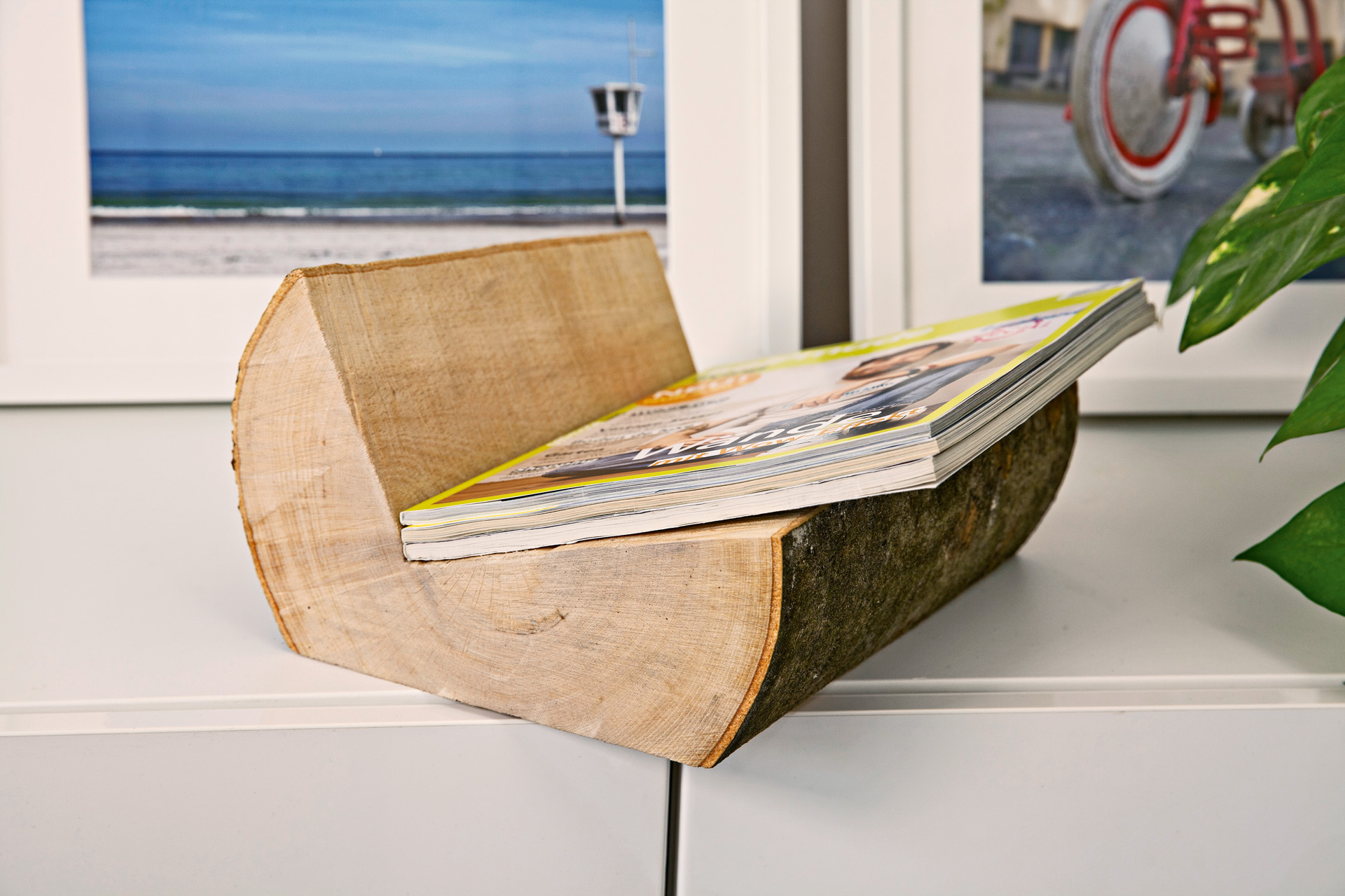 Magazines in a DIY magazine holder made from a log
