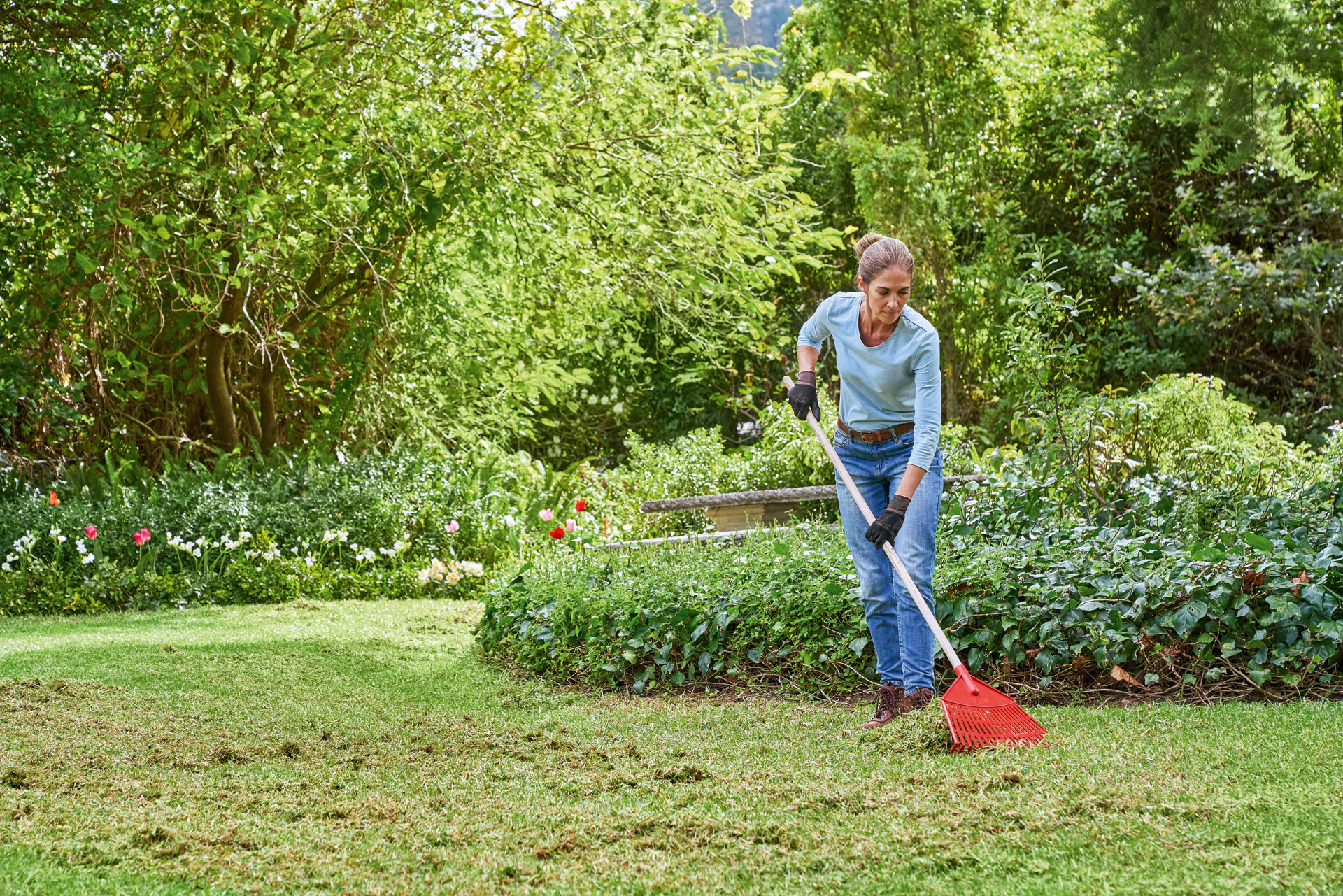 Woman rakes cut grass in her garden