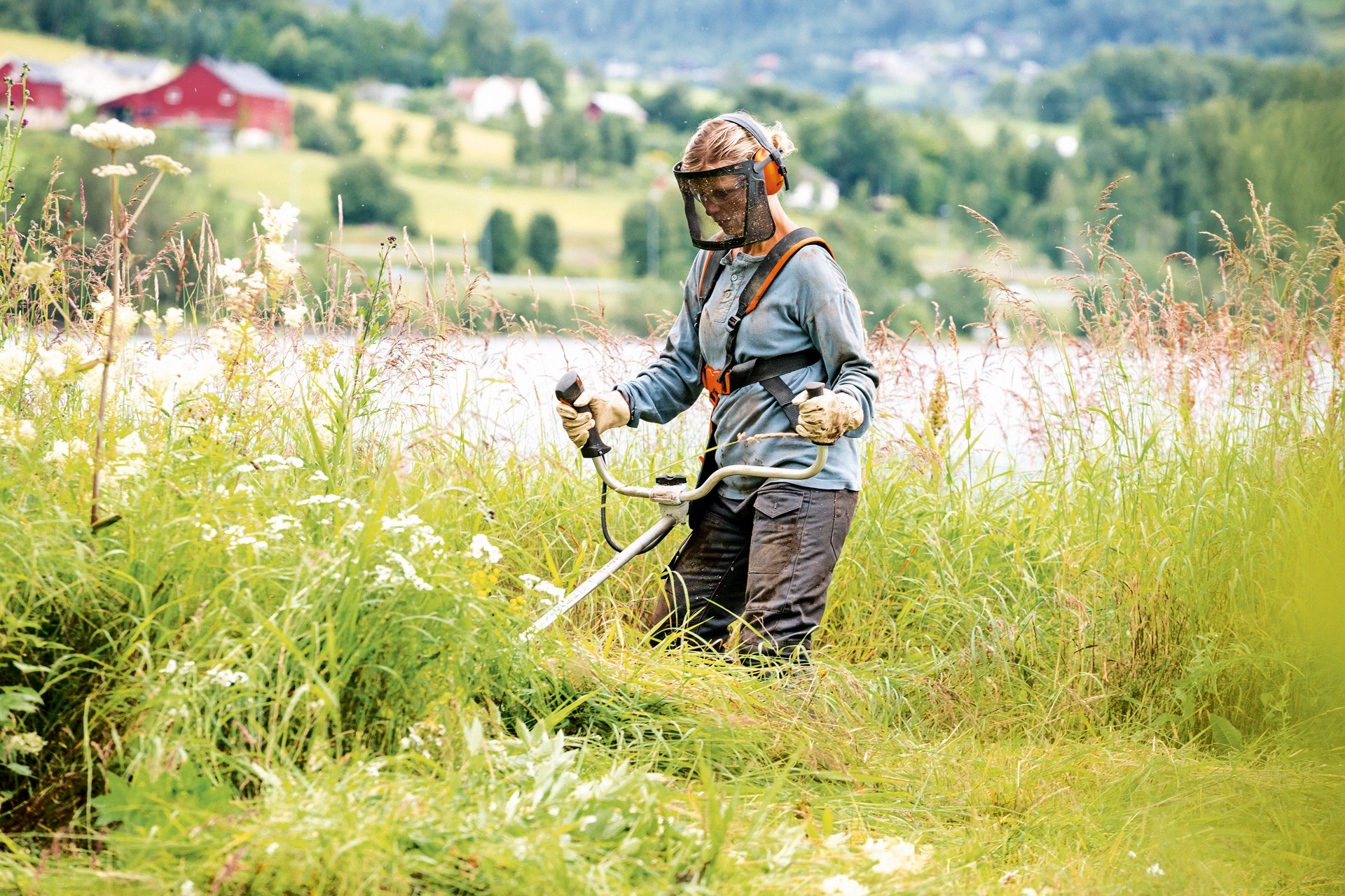 A man wearing appropriate protective clothing working in long grass with a STIHL FS 240 petrol grass trimmer