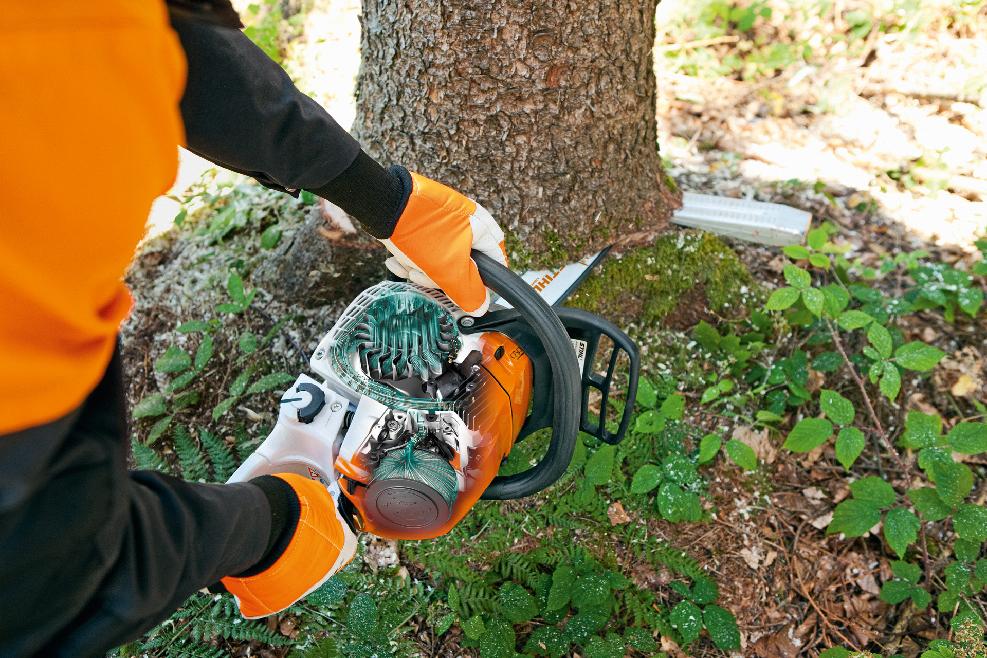 A STIHL MS 241 C-M petrol chainsaw being used to cut through a tree trunk