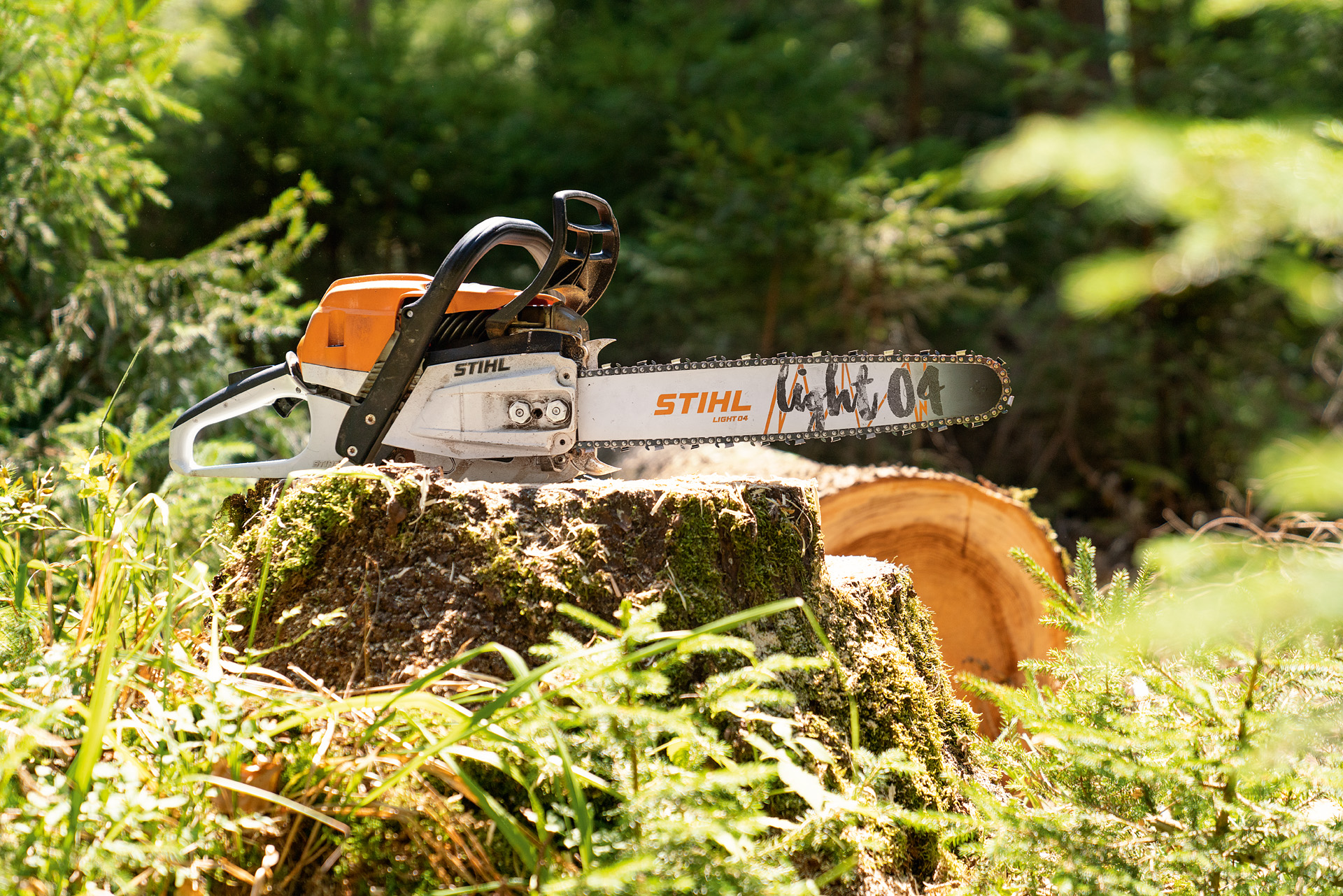 A STIHL MS 261 C-M petrol chainsaw on a tree stump surrounded by greenery