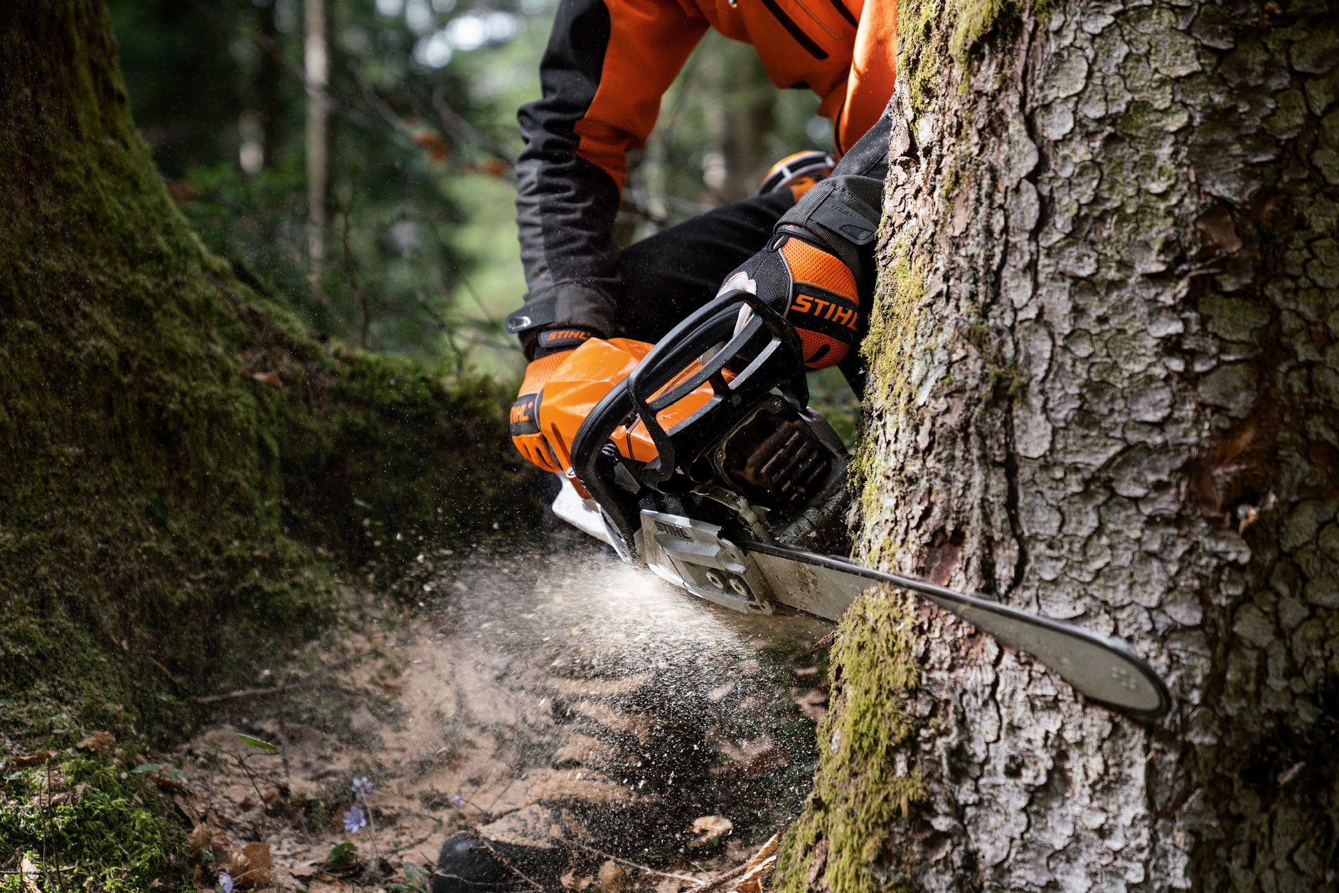 Close-up of a STIHL MS 400 C-M petrol chainsaw featuring magnesium piston cutting into a tree trunk.