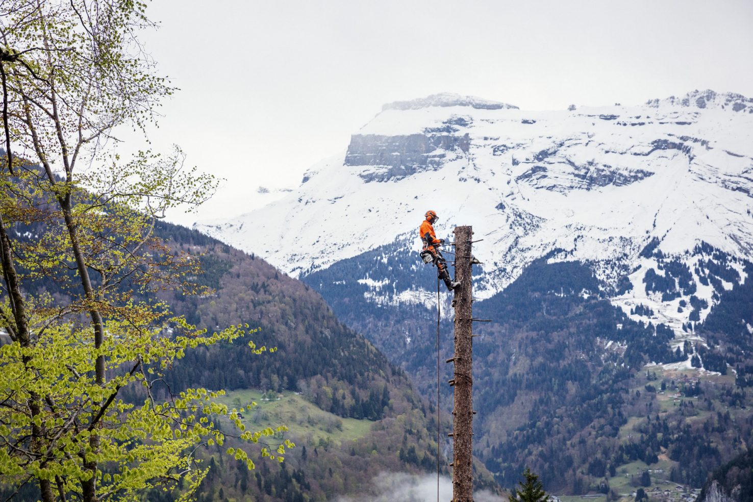 STIHL chainsaw in winter conditions with electric carburettor heating