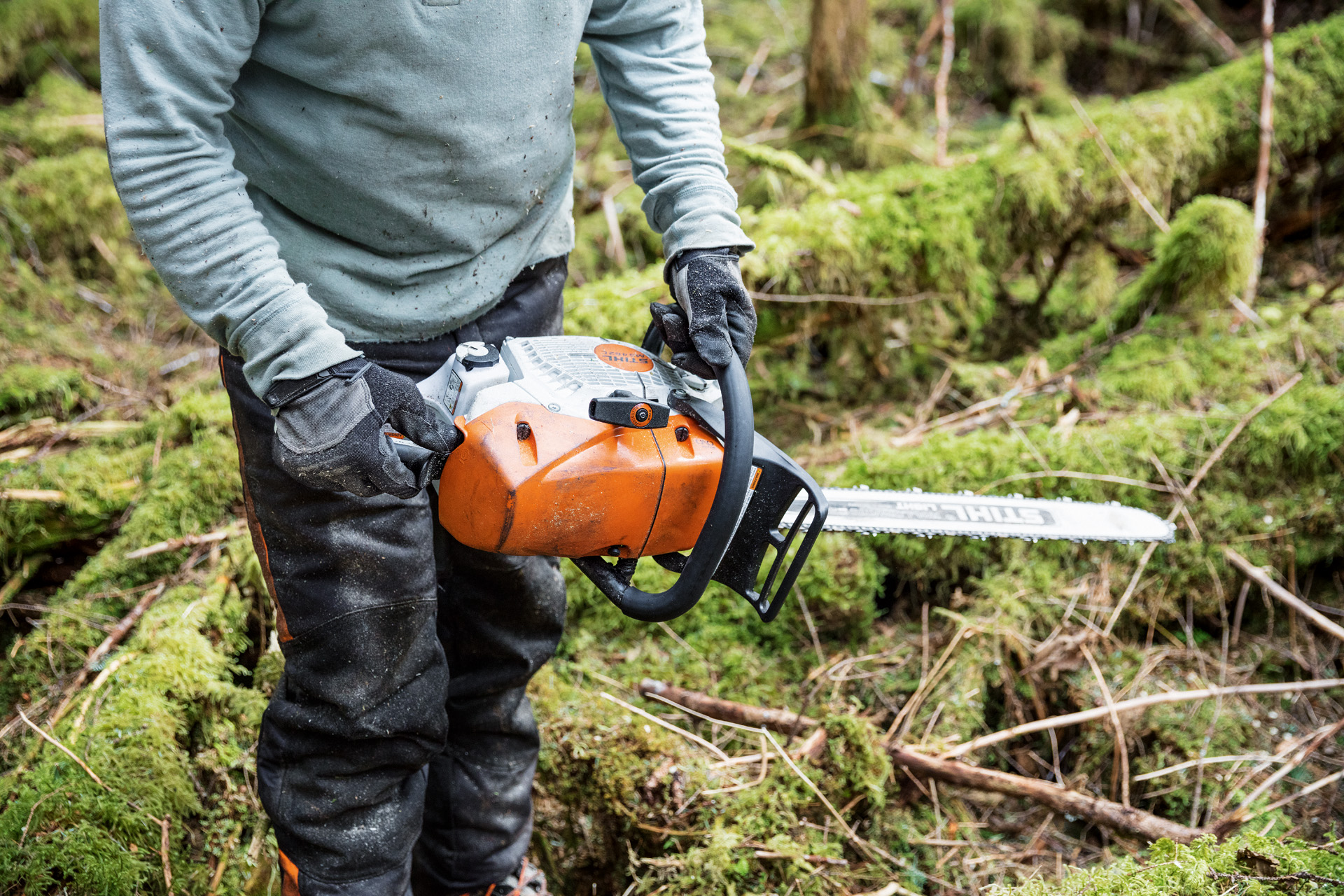 A STIHL MS 462 C-M petrol chainsaw with carburettor heater being carried among moss-covered tree trunks in a forest