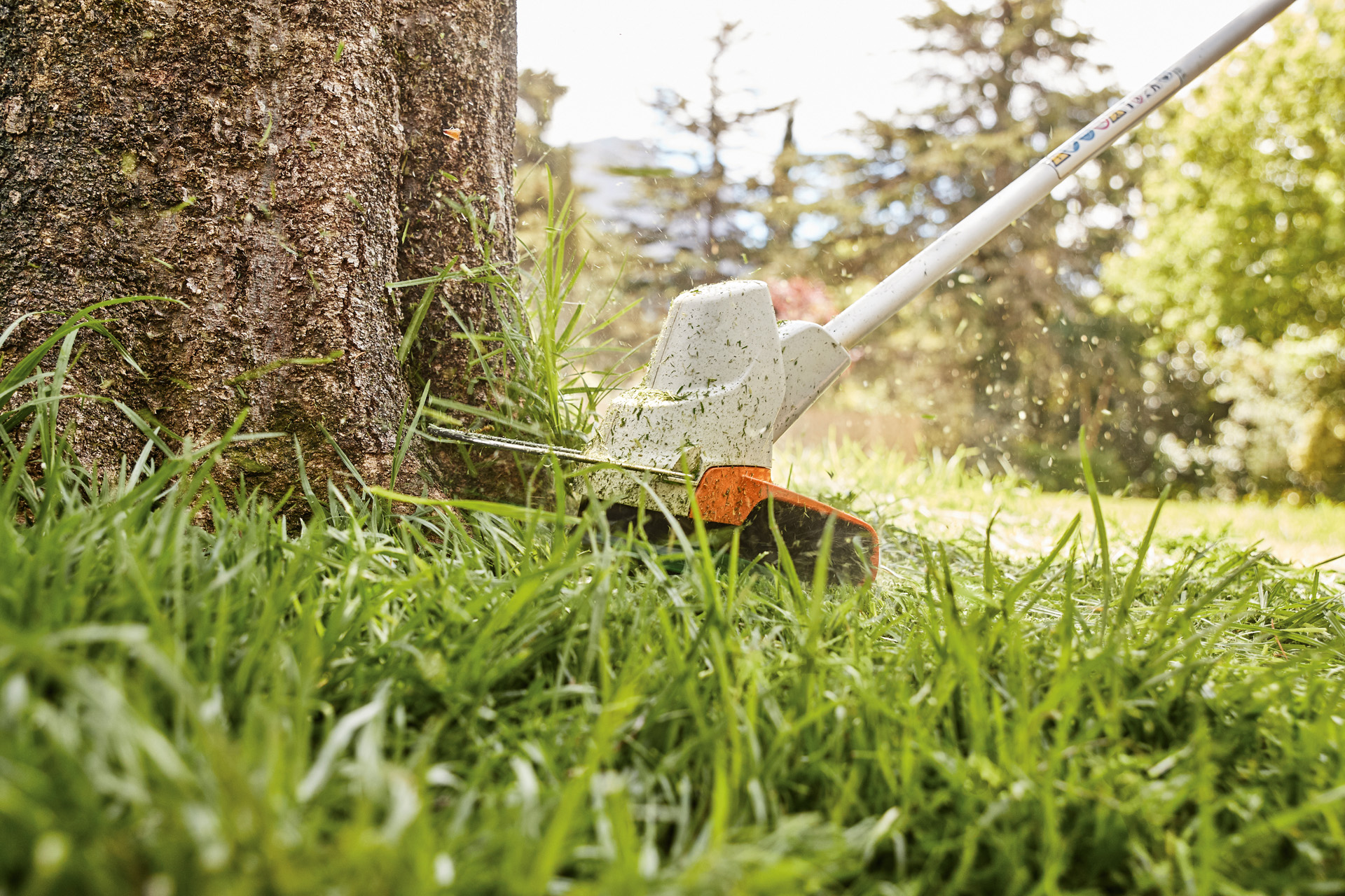Grass at the base of a tree being trimmed with a STIHL FS 57 cordless clearing saw
