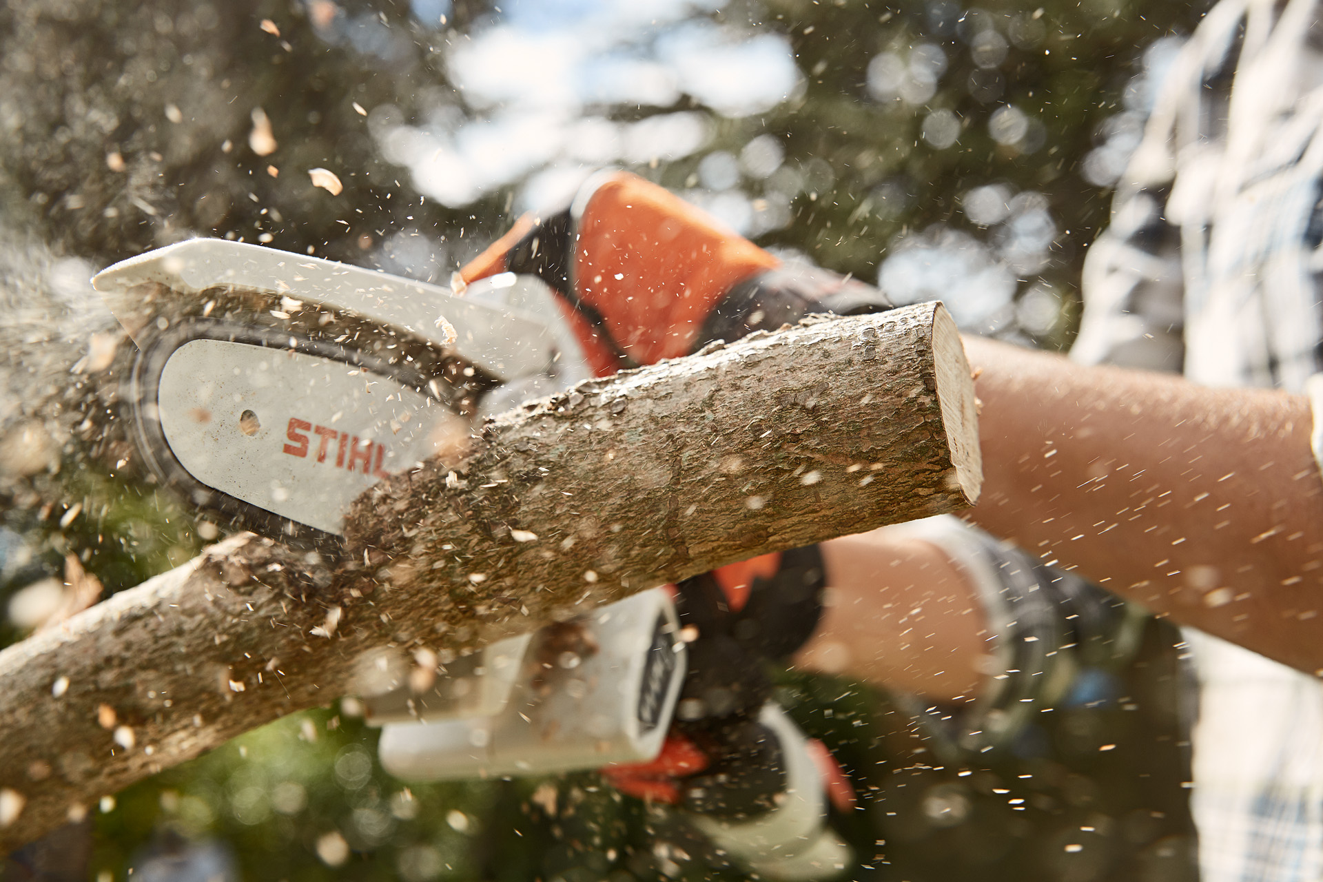 A branch being cut off a fruit tree with a STIHL GTA 26 cordless garden pruner