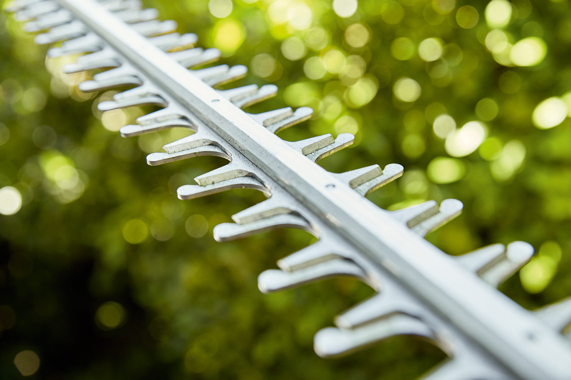 Close-up of the clean blades of a STIHL HLA 56 cordless long-reach hedge trimmer