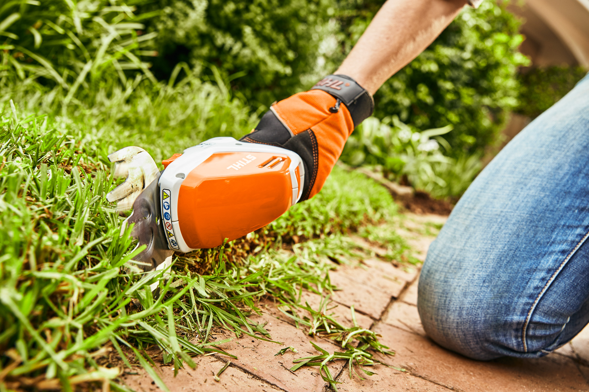 STIHL HSA 26 cordless garden shears being used for trimming the edge of a lawn