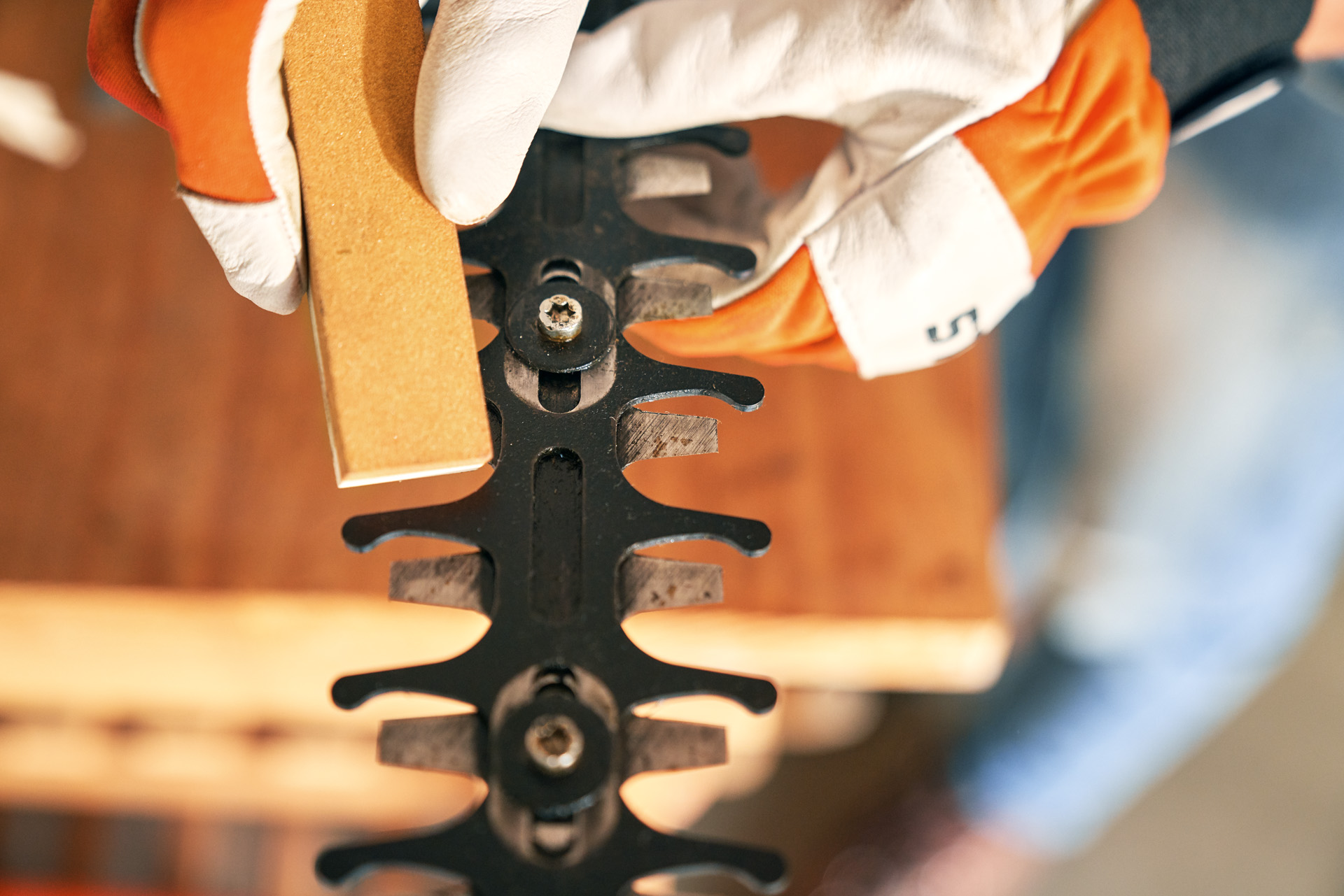 Cleaning hedge trimmer blades with cloth before sharpening on workbench