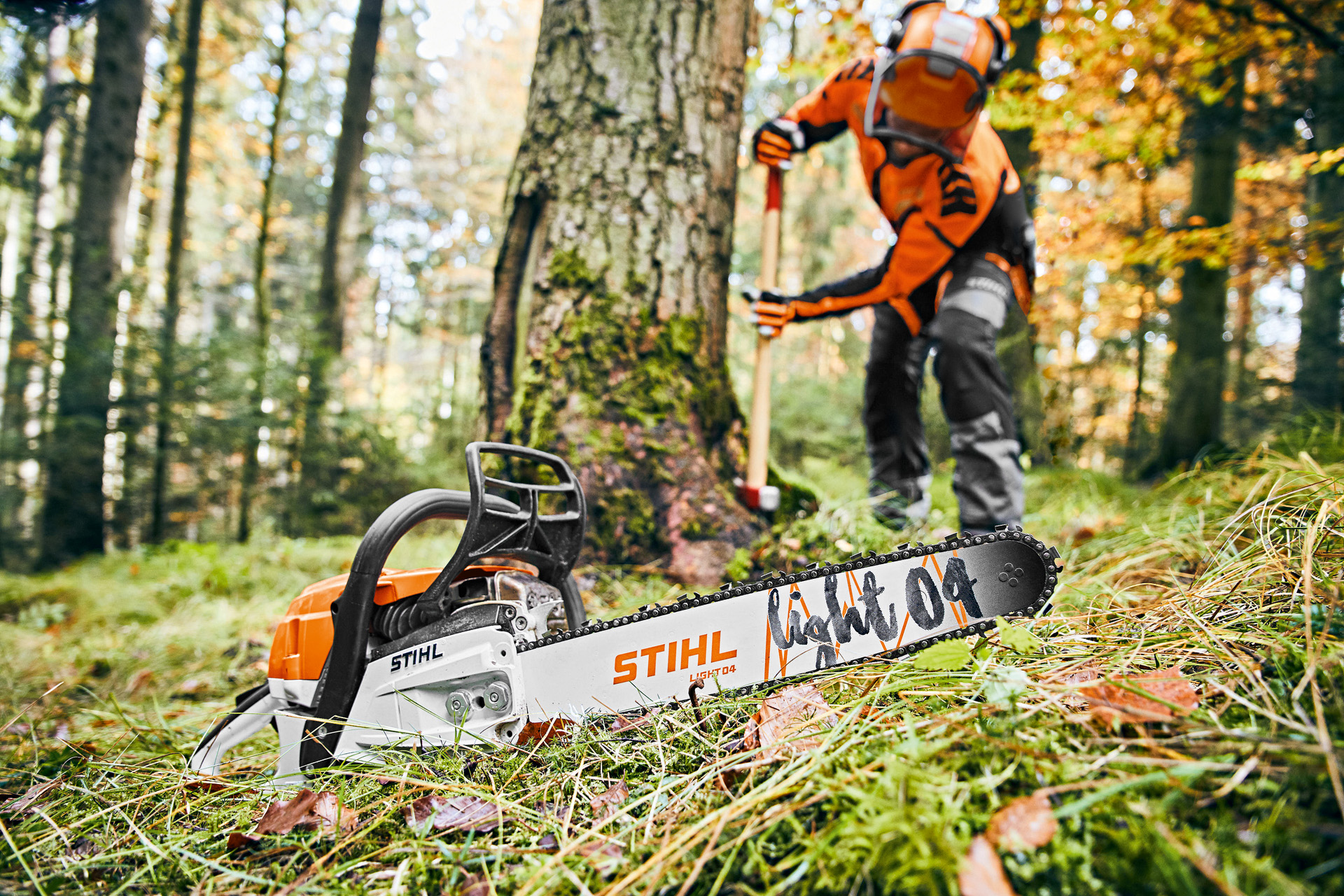 A man wearing protective equipment in the forest, with a STIHL MS 261 C-M petrol chainsaw with Light 04 guide bar in the foreground