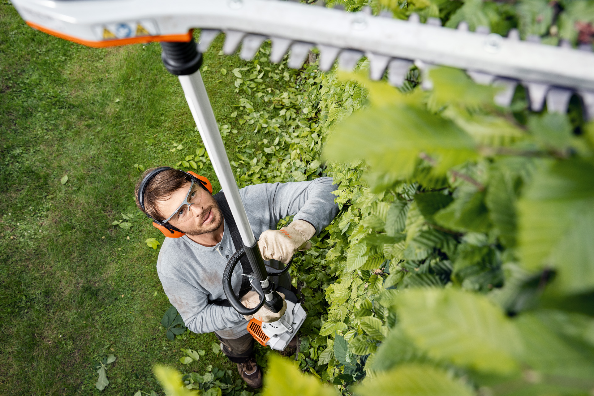 A man wearing protective clothing trims the top of a tall hedge using a STIHL HL 94 long-reach hedge trimmer.