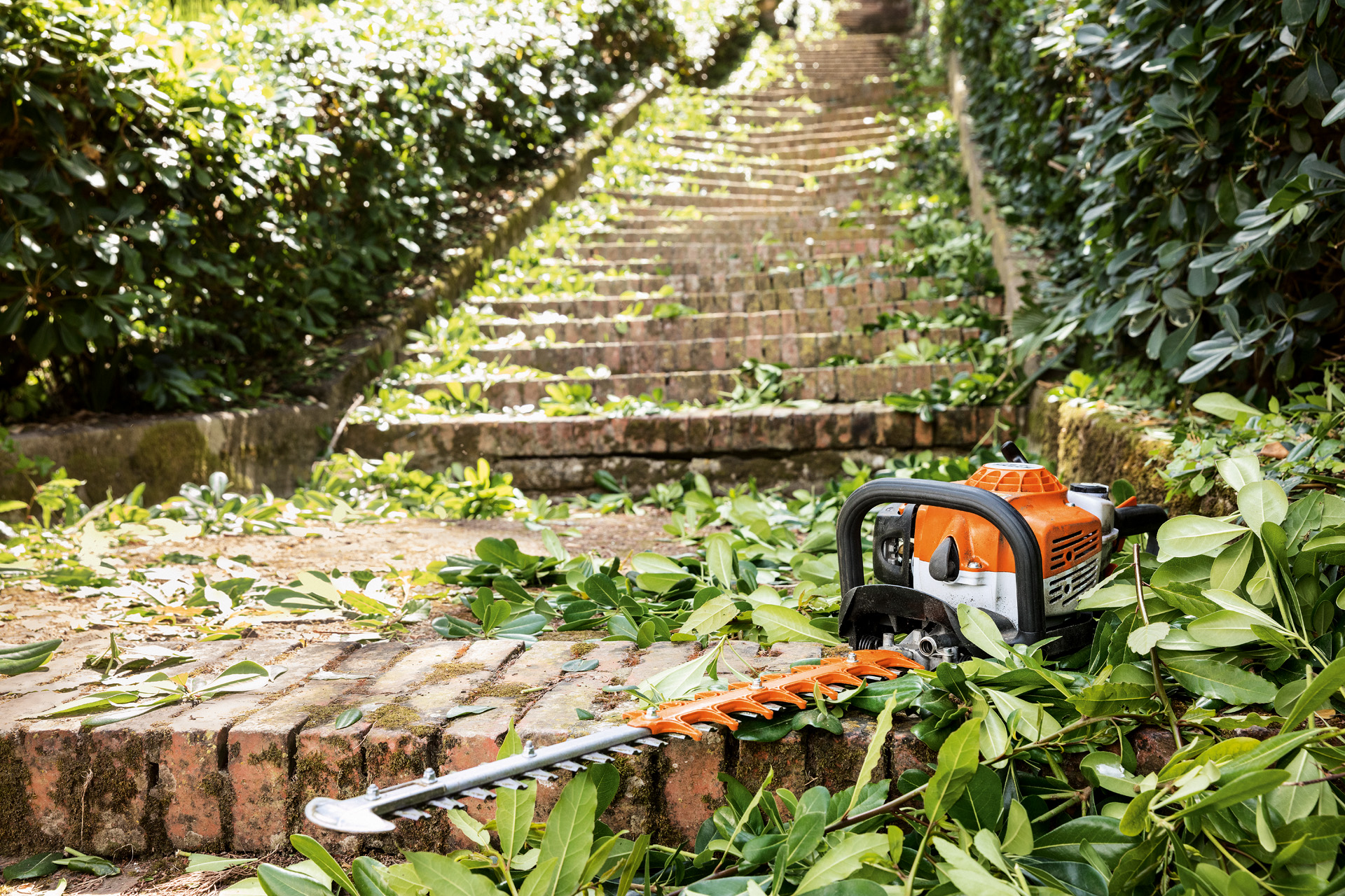A STIHL HS 82 T petrol-driven hedge trimmer on a brick wall, surrounded by trimmings at the foot of a stone staircase
