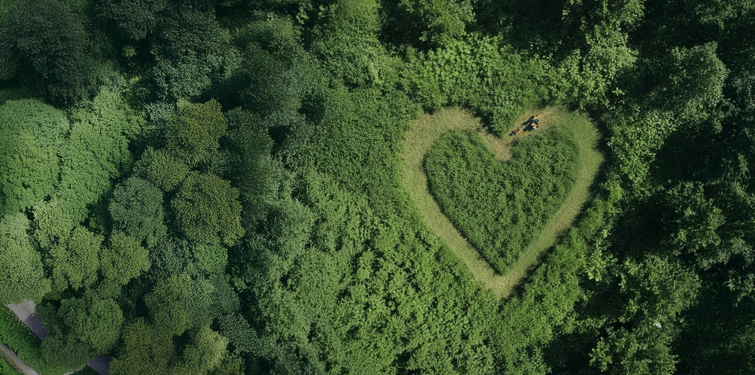 Heart mowed into long green grass