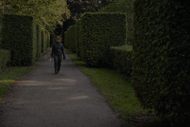 A woman wearing STIHL protective equipment walks along a path bordered by square-trimmed bushes with a cordless power tool in her hand