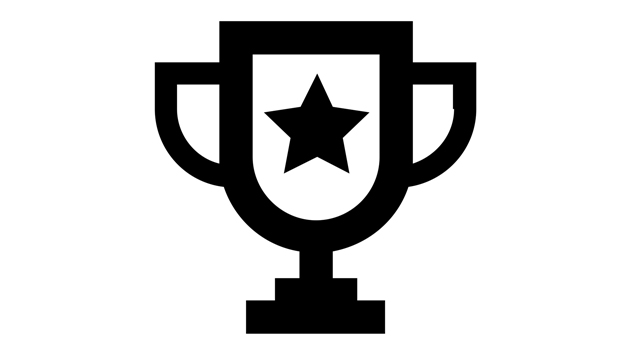 STIHL Competitions - Terms and Conditions