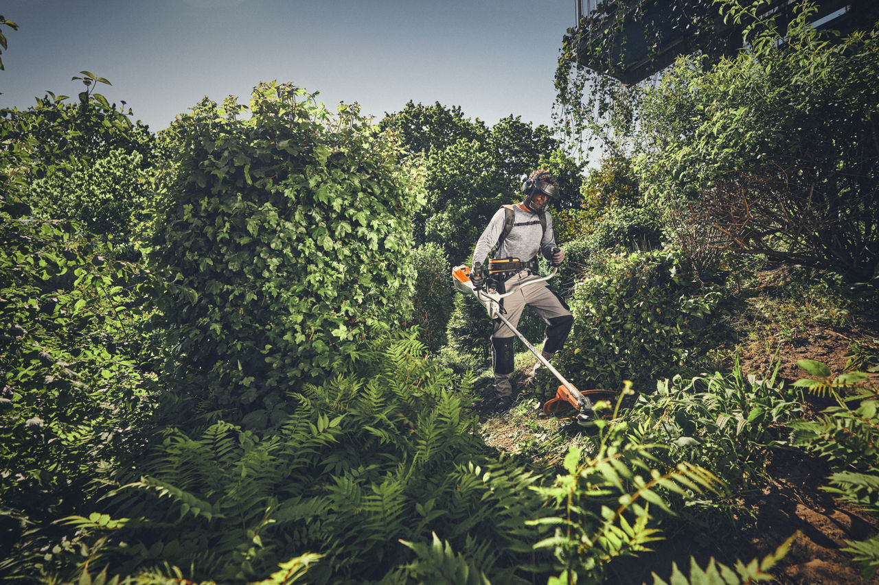A person in protective equipment trims wildly growing undergrowth with a STIHL brush cutter